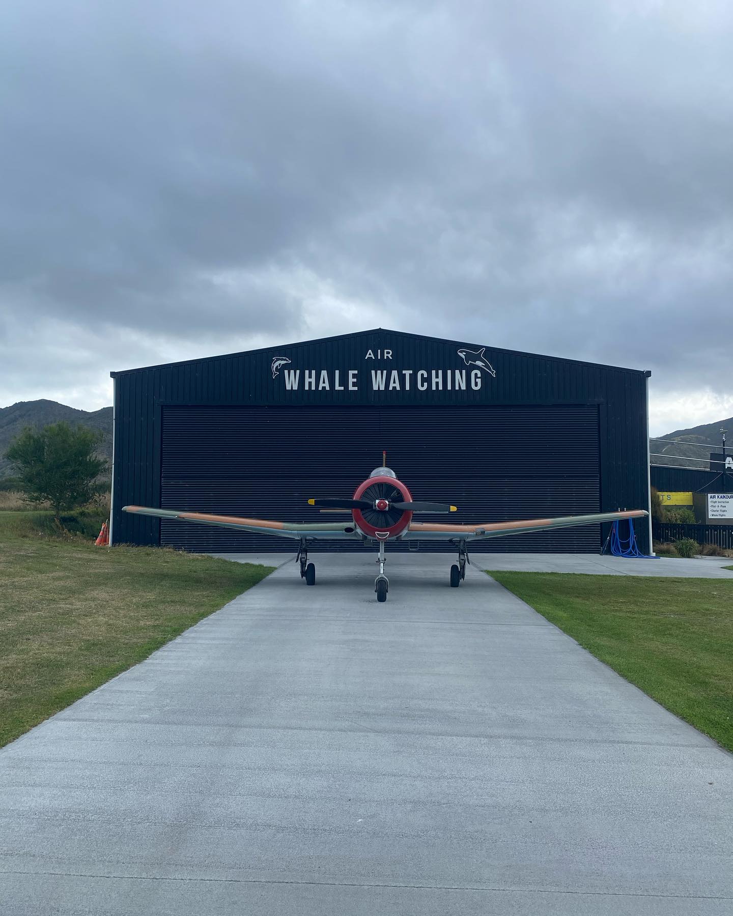 ✈️ Get ready to soar to new heights with our newest whale watching aircraft- the Nanchang! 💥
Join us on a private flight, with just yourself and the pilot, ensuring you have the best seat in the sky 🧑🏽✈️🐋
The all around windows provide unparalleled views, making sure you’ll never miss a moment of the majestic marine life below 🌊🐬
🪅 #whalewatching #flying #aprilfools 🃏