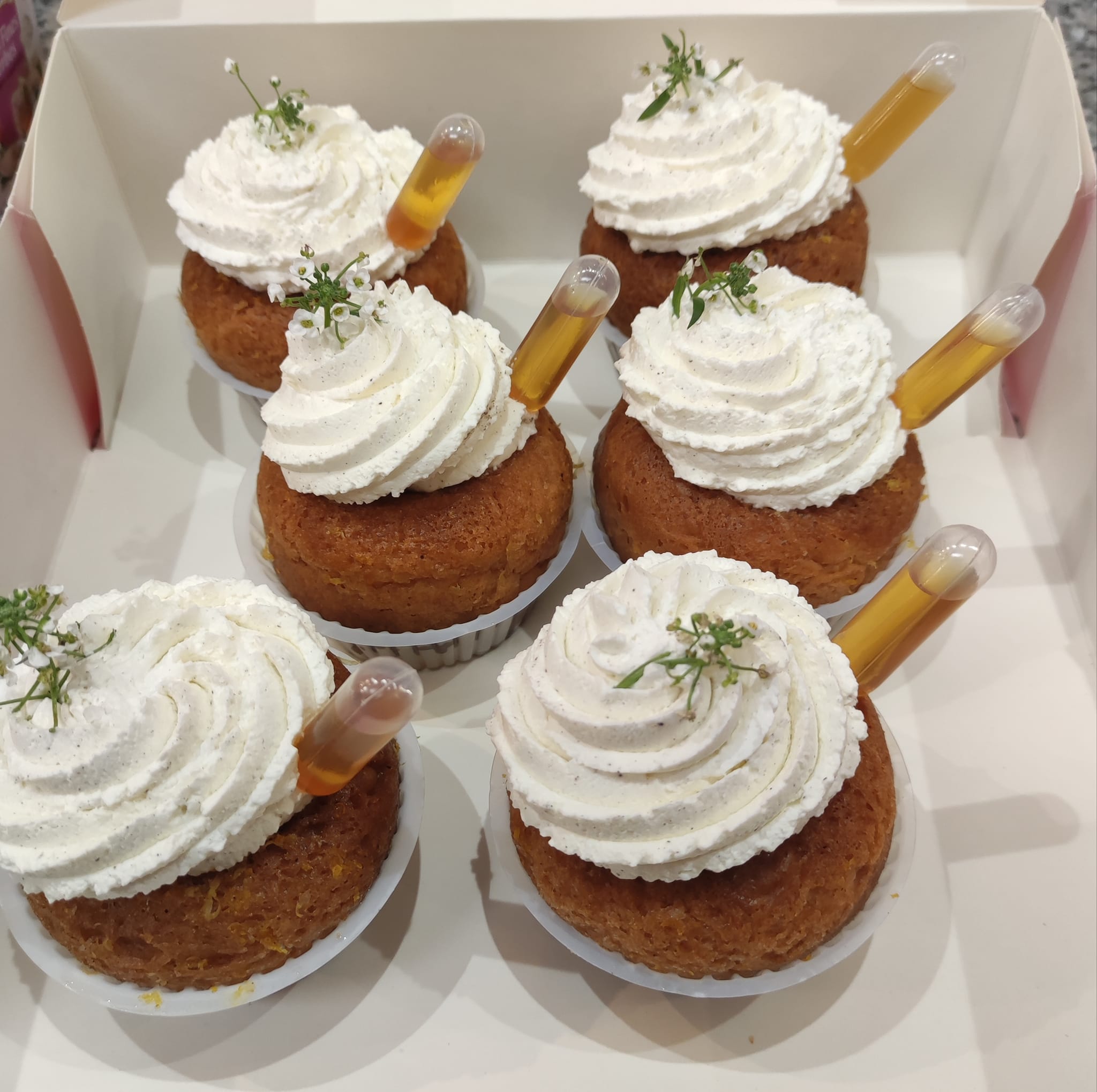 Aujourd'hui à la boulangerie Brin de Terre de Villeneuve sur vère , je vous propose babas au rhum, tartes chocolats/praliné, flans et tartes citron meringuée. A tout à l'heure 😍