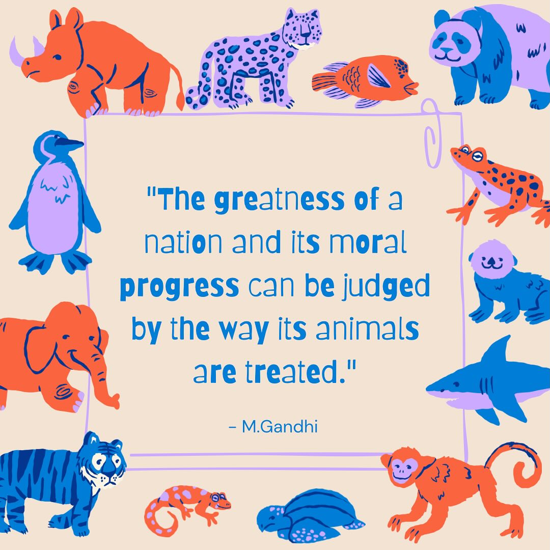 It’s not only Monday, it’s also Animal Welfare Week!
🌍 🐈🐕🐄 🐖 🐑 🐇🐁 🐘🦒🐅🦍🦈🐋 🌏
How have you contributed to the cause?
Was it #meatlessmonday ?
Or is today the day you finally found the sign you’ve been looking for….😗🫴@chicagocatrescue @pawschicago @treehousehumanesociety @chicagocaninerescue @chianimalcareandcontrol @onetailatatime