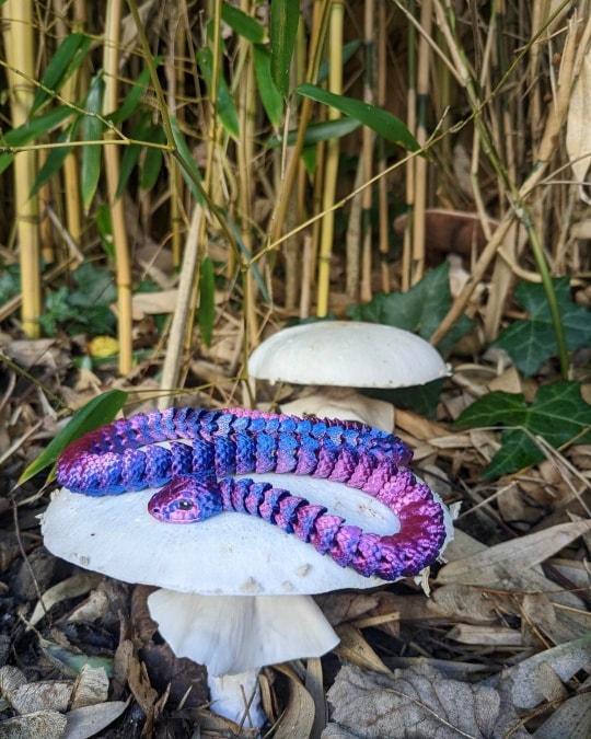 It's so nice to get feedback from people who have bought my dragons, snakes and spiders. I was sent these amazing pics by Emily at @fableandfabledjewellery in #wokingham. Having checked out her jewellery... It looked amazing.
#wokinghambusiness #3dprinting #dragons #toys #fidgettoys #mushrooms #autumn #jewelrydesigner