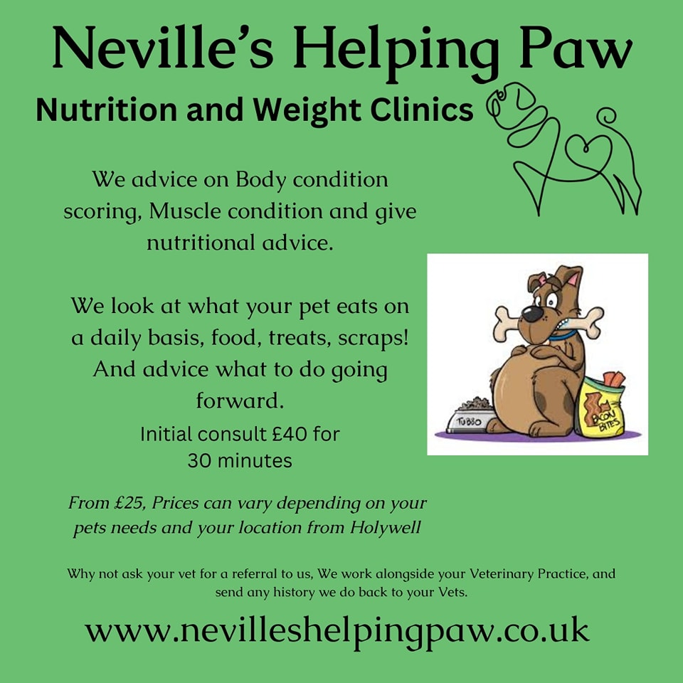 Struggling with your pet's weight? Want some more support? A friendly approach to ease you into dieting your pet. Let me help.
