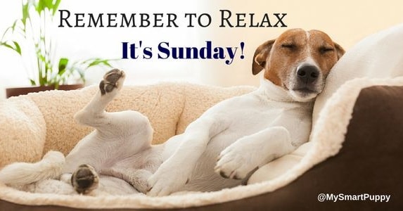 Have a relaxing Sunday 😊😊