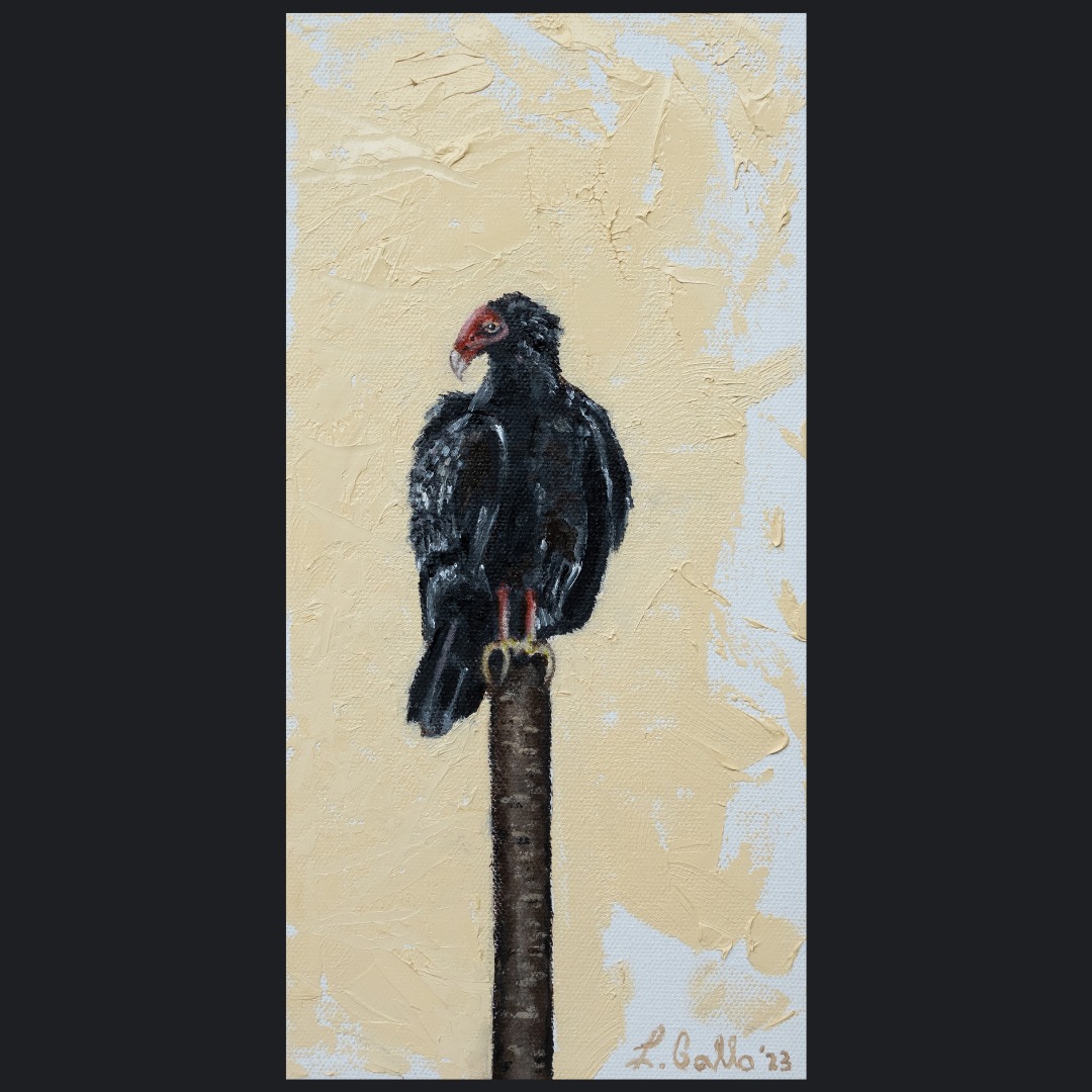 Vulture (2023). 6” x 12” Oil on Canvas.
Birds of prey have always fascinated me. Their enormous wingspans hovering through the sky are often associated with death. I placed this massive creature on a small canvas to invite the viewer to walk up close and examine this often-misunderstood bird, not in fear, but from a curious perspective. The contrasting cream background, symbolic of renewal, plays off the dark feathers of the vulture to remind us of the vital role this bird plays in life.
-
-
-
-
-
-
-
-
Interested in finding out more about this or other pieces? Check out my website: www.lennygallo.com. Don’t forget to follow me @lennygalloart on Instagram and Facebook
Interested in a print, merchandise, or an original piece of art? Check out these sites:
Etsy: 🏷️ Sold 🏷️
Redbubble:
https://www.redbubble.com/shop/ap/148755287
Fine Art America:
https://fineartamerica.com/featured/vulture-lenny-gallo.html
-
-
-
-
-
-
#art #artistsoninstagram #artistsofinstagram
#gayartist #gayartworks #artwork #painting
#paintingsofinstagram #paintings #paintingsdaily
#oilpainting #expresionism #oilpaintings #expressionismart
#oilpaintingsoncanvas #NewJersey #oilpaintingman #gayartists #gayartistsoninstagram #vulture #vultureculture #birdsofprey #birds #birding #birdwatching #birdsofinstagram #death #Blackbird