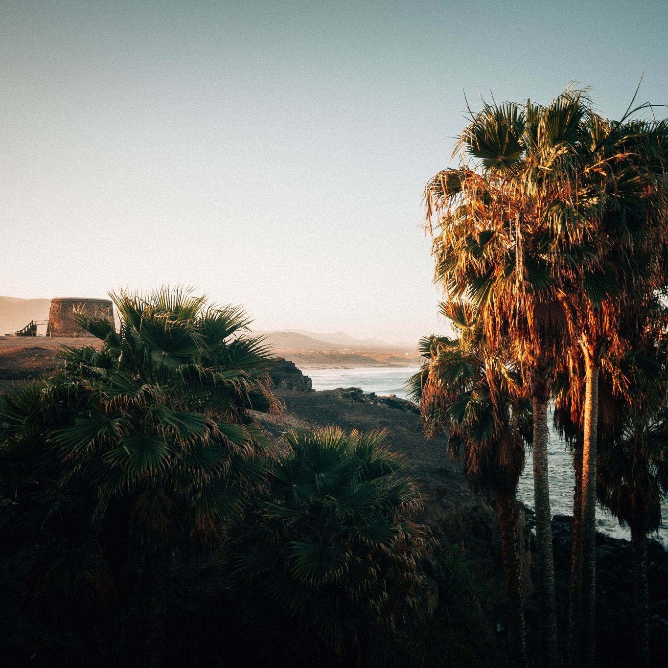 Sunrise | El Cotillo | 03/23
#island #elcotillo #fuerte #fuerteventura #happyplace #palmtreelove #harbor #coast #ocean #staywild #photography #landscapes #photographer #canon #saltyhomephotographie #stademagazine