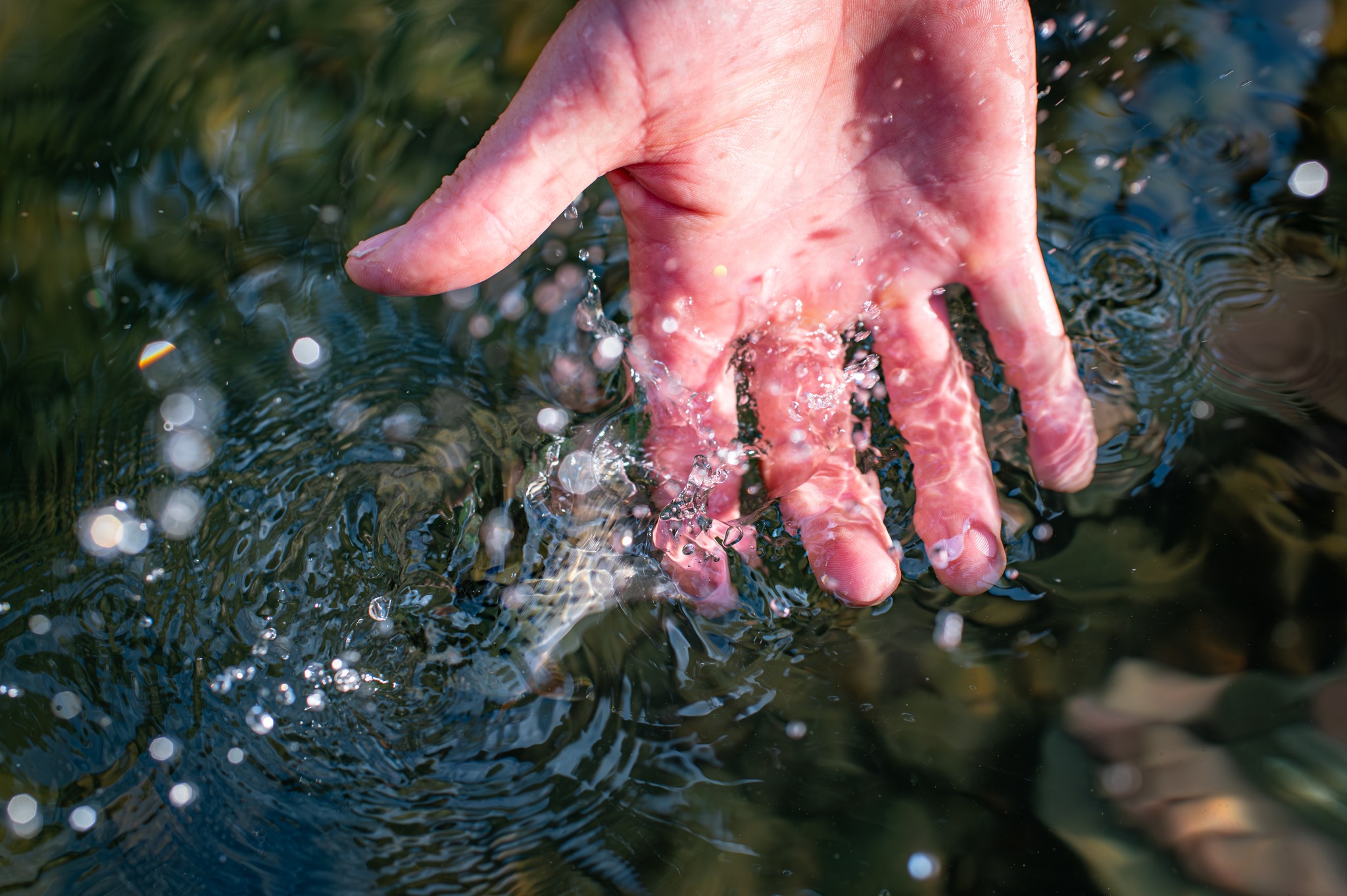 If your summer days look like this, you’re doing it right. You’re doing it even better if you’re fishing a Sullivan Fly Rod. Learn more on our website, link in bio >> @Sullivan_Fly_Rods
#SullivanFlyRods #CustomFlyRods #FlyRods #FlyFishing #LivingstonMT #HandmadeInLivingstonMT #DifferenceBetweenArtAndProduction #AmericanMade #MadeInTheUSA