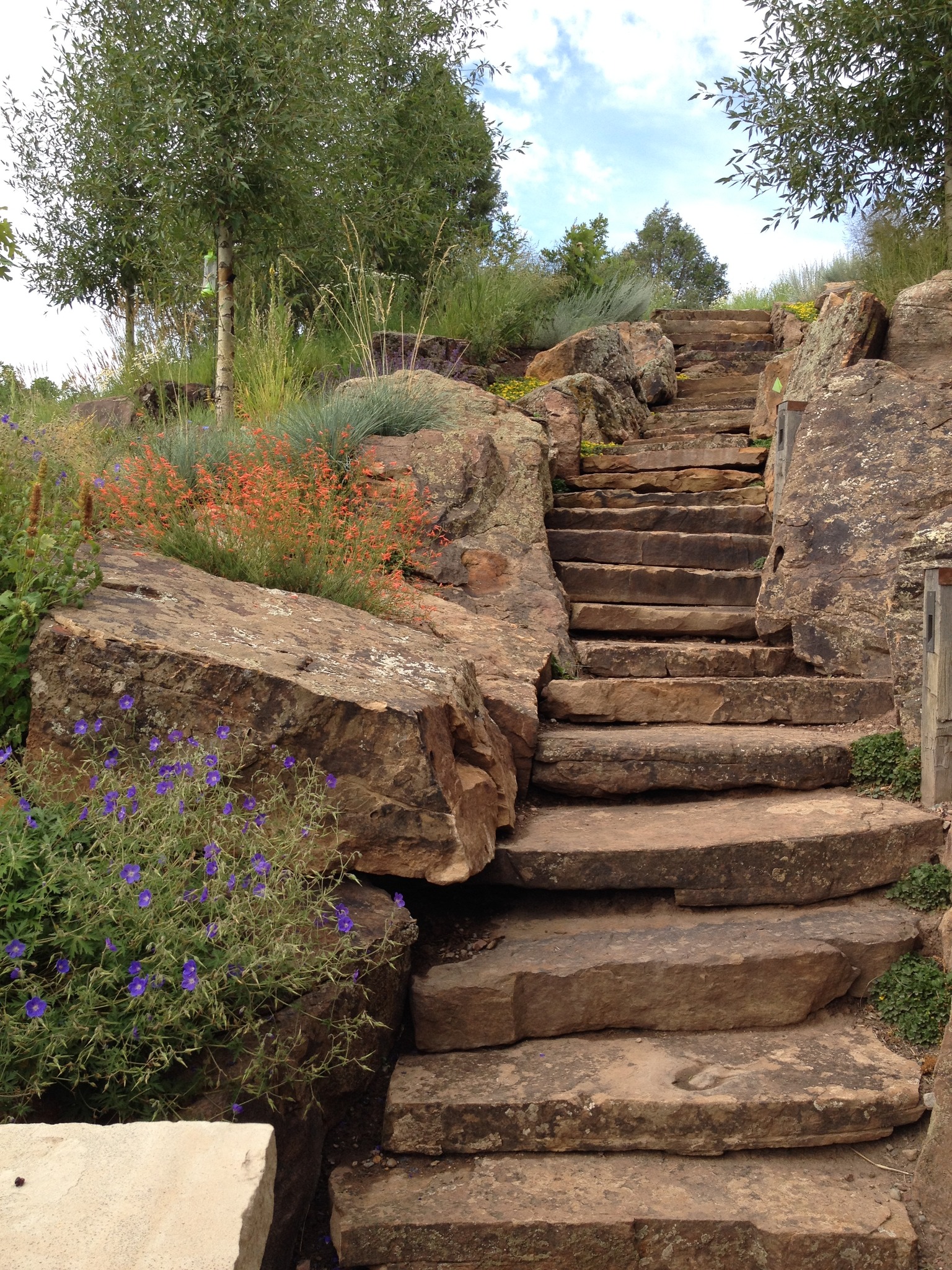 almost like a hike through the aspen mountains...🗻🏃♂️
Irregularly shaped monolithic steps, flanked by #locally sourced boulders and pockets of #native perennial plantings,🪻 creates a stunning journey from one level to the next.
📸: @jasondewey
#landscape #landscapearchitecture #landscapedesign #design #gardendesign #nativeplanting #designinspo #designinspiration #steps #aspen #colorado #luxurygardens #luxurydesigns #plants #local