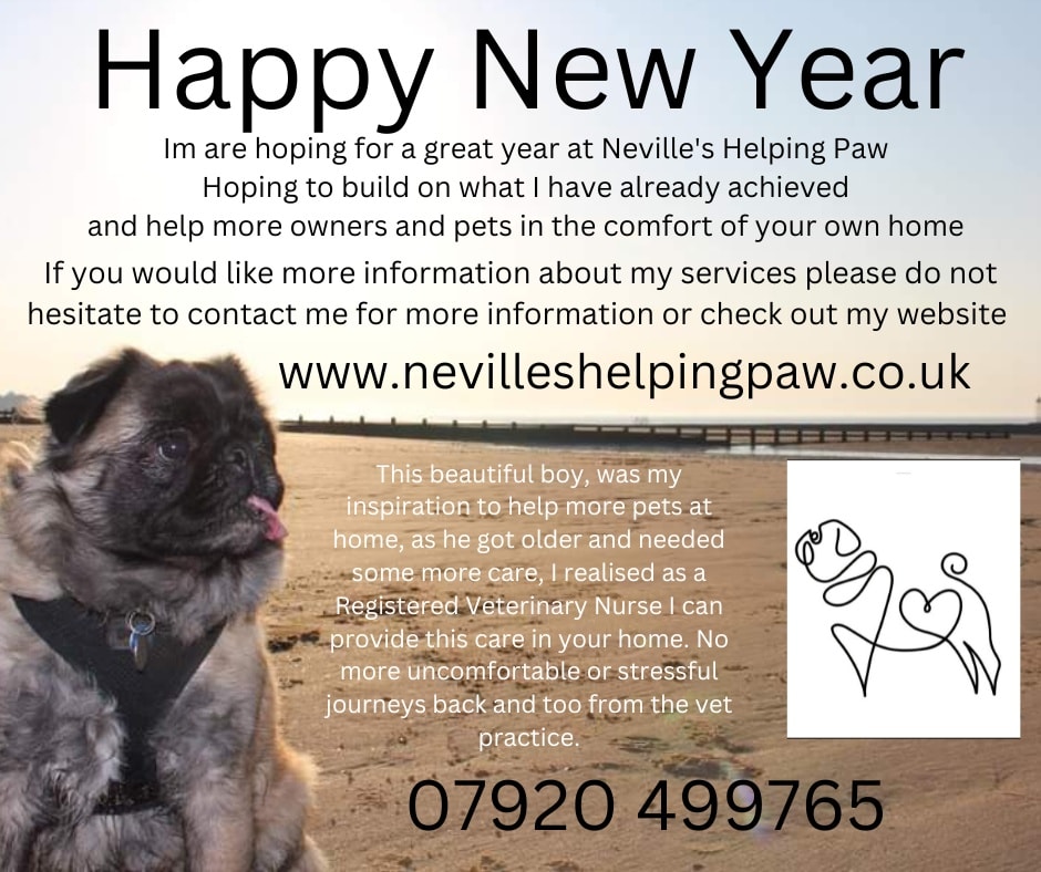 Happy New Year to all the lovely clients I have met along the last 6 month journey. Looking forward to the next 12 months. Onwards and upwards 🥰