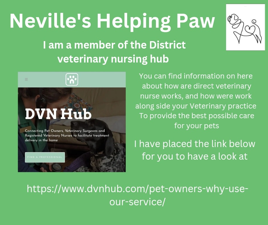 I'm a member of the DVNHUB. This is my promise to you to maintain good standards as an RVN with the RCVS, and follow my code of conduct at all times. To keep animal welfare at the forefront of everything I do, respect the animal-human bond 😊 🐶🐱🐭🐰🦜
There is more information on the website, take a look 👀