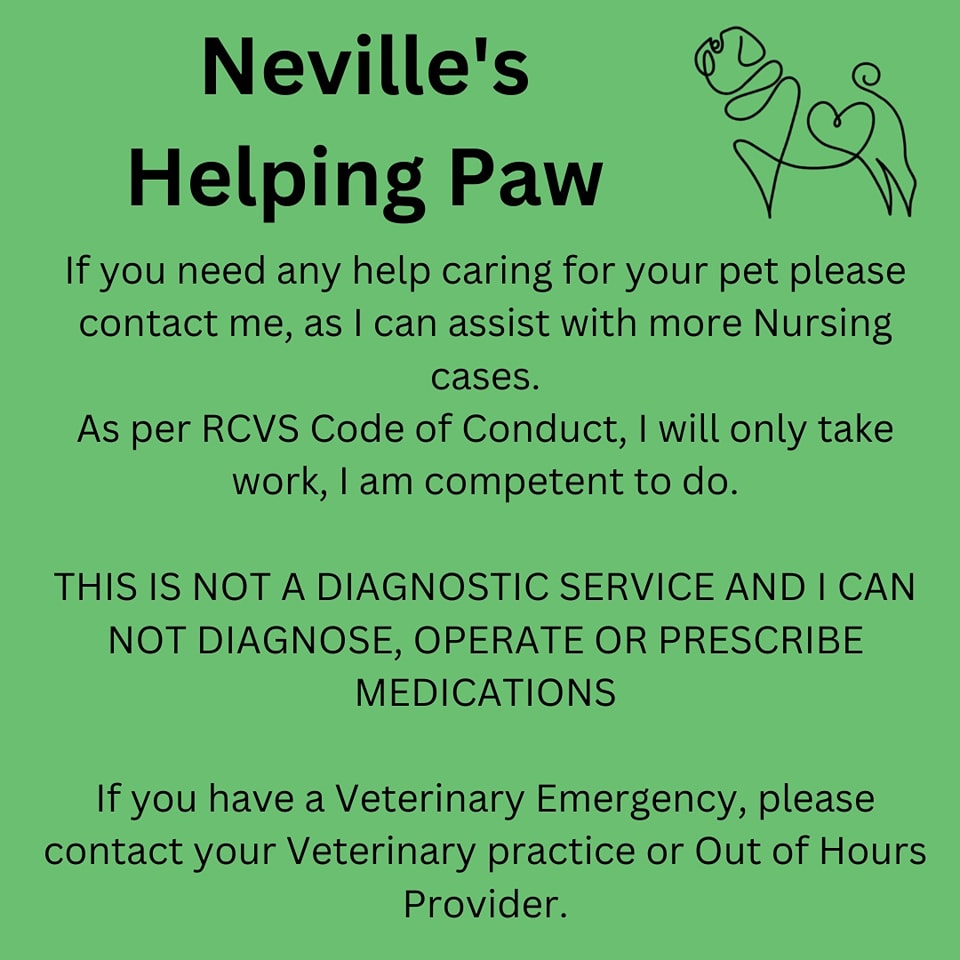 I am a Qualified Registered Veterinary Nurse, I provide nursing care.
I can do nurse consults in the comfort of your home and give advice. If I feel you need to see a Vet, I will advise this. I will not take on any case I feel I can not do. I work within my RCVS Code of Conduct.