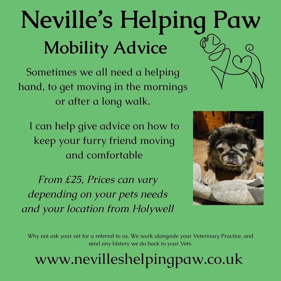 I can assist with mobility advice, as you furry family members get older 🐕🐈