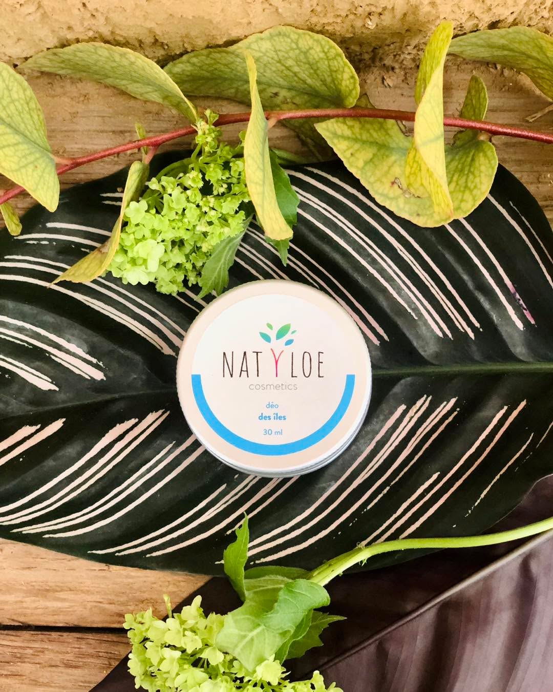 Feuillage lumineux de Dames Nature
Parfum suave de l’ylang ylang
Voici le deo exotique qui vous accompagnera partout
www.natyloe.fr
#natyloecosmetics #damesnature #ylangylang #deodorants #deodorantsolide #cosmetiquebio #cosmetiquesnaturels #bienetreaunaturel #madeinfrance #essonnetourisme #valleedechevreuse #serresdebeaudreville