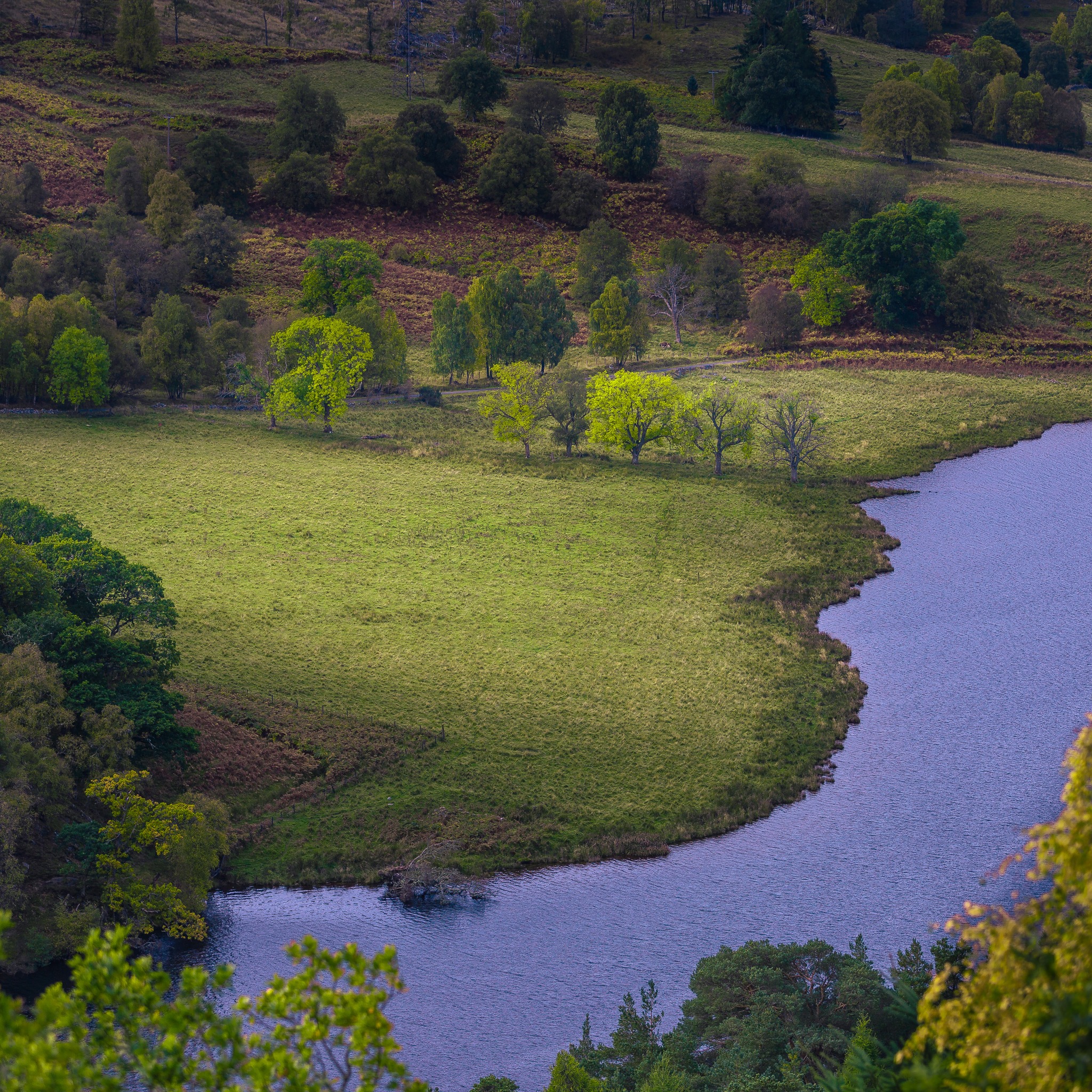 A touch after daybreak! I won't tell you just how early this was but it was early enough to beat the awakening of the Scottish Mule herd.
#QueensView #Pitlochry #LochTummel #ScotlandViews #ScottishHighlands #VisitScotland #HighlandBeauty #NatureScotland #DiscoverScotland #HistoricScotland #ScotlandInspires #Schiehallion #ScenicViews #MountainViews #LandscapePhotography #NatureLovers #ExploreScotland #WildScotland #TravelScotland #ForestsAndLakes #IconicViews #PeacefulPlaces #ScotlandAdventure #WildernessCulture #BeautifulScotland #NaturalScenery #ScotlandTravel #EpicLandscapes #TranquilViews #HighlandEscape