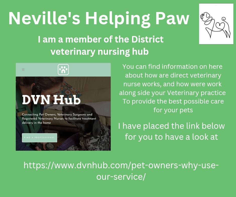 I am also a member of the District veterinary nursing hub. 😊