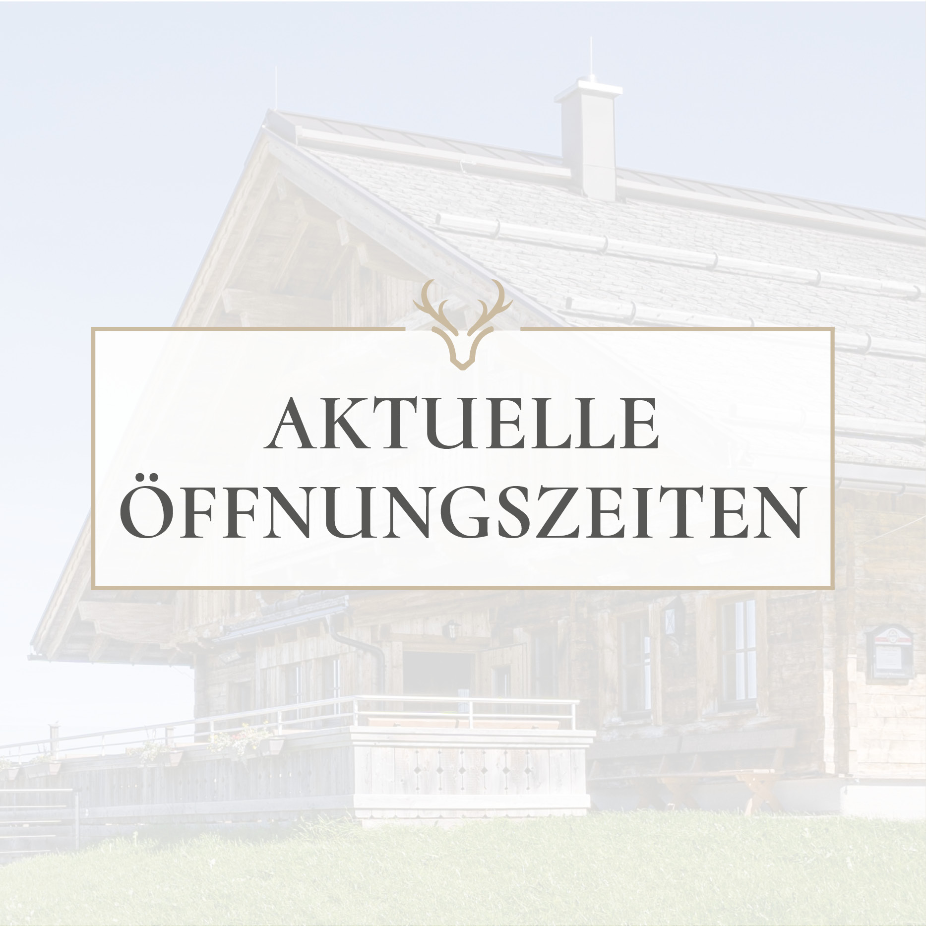 Weihnachtszauber auf 1.480 Metern Höhe 🎄❄
Die Enzianhütte bietet die perfekte Kulisse für eine schöne Weihnachtszeit - jetzt Tisch reservieren und die Feiertage auf dem Trattberg genießen!
Schöne Feiertage wünschen euch
Andrea, Klaus und Josy