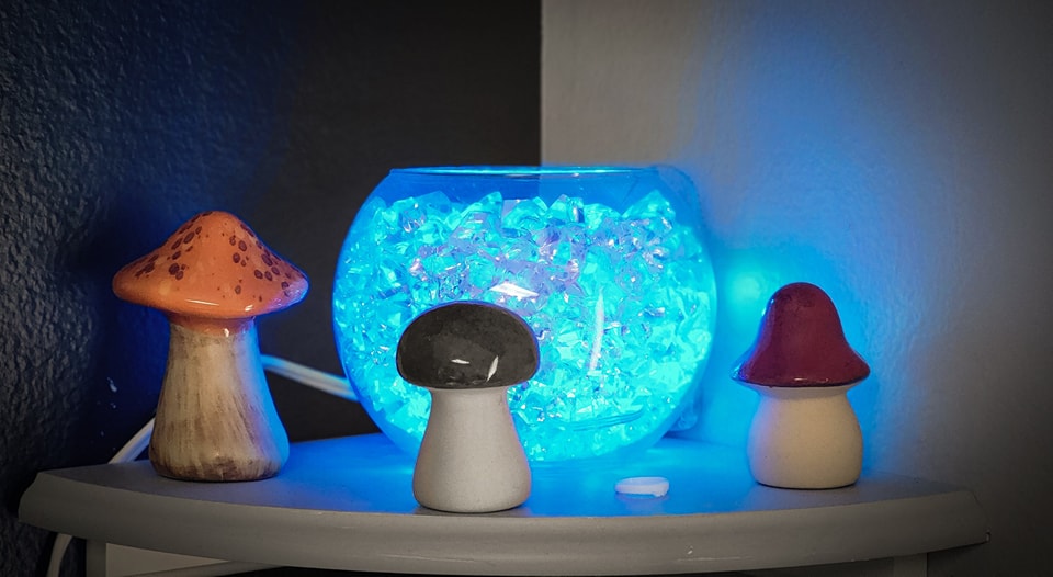 “Science is always discovering odd scraps of magical wisdom and making a tremendous fuss about its cleverness.” – Aleister Crowley
The use of herbs to treat ailments was once considered witchcraft.
#holistichealing #holisticwellness #holistic #HolisticLiving