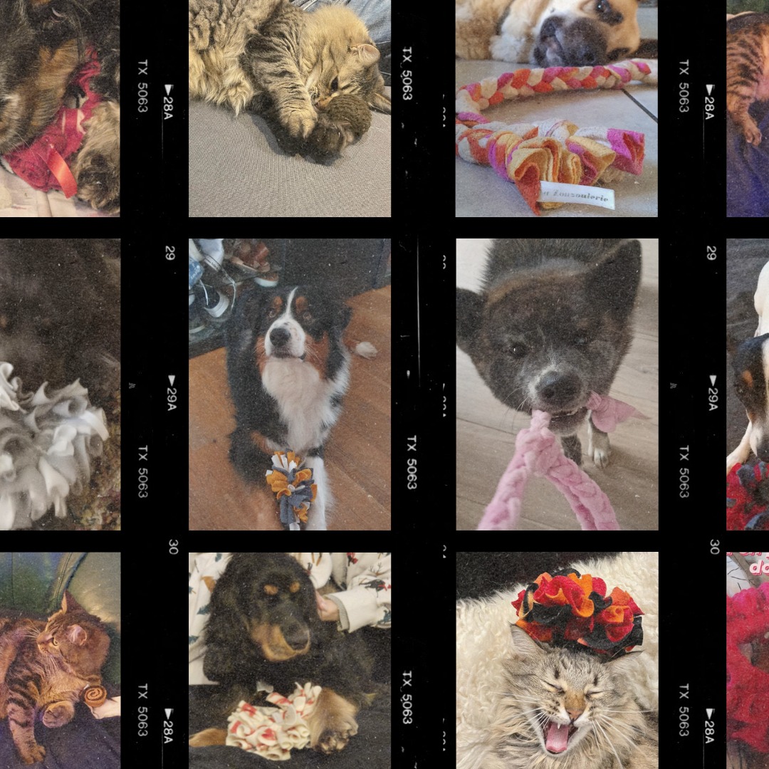 🎄✨ Les photos des commandes de Noël sont arrivées ! ✨🎄
Que de bonheur de voir vos Pot’à pattes découvrir leurs cadeaux sous le sapin ! 🐾 Vos photos débordent d’amour et de joie, et on ne va pas se mentir… ça nous met des étoiles dans les yeux ⭐ et du chaud au cœur 💚.
Savoir que nos créations ont fait des heureux, c’est la meilleure motivation pour continuer à nous améliorer et développer La Zouzoulerie. On a plein d’idées en tête, et c’est grâce à vous, vos encouragements et vos adorables boules de poils. Merci infiniment ! 🙏
👉 On vous prépare encore de belles surprises pour cette nouvelle année, alors restez connectés !