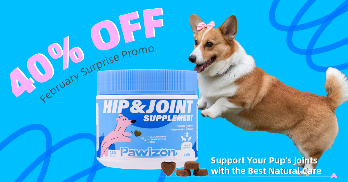 Get 40% off with code “405R2LFG” at checkout for Pawizon Hip and joint chews! Hurry, limited time only!
#doglove #doglife #doglover #doglovers #dogstagram #dogoftheday #dogsofinstagram #dogsupply #dogsupport #dogsupplies #dogsupplement #DogSupplements #dogsupplements