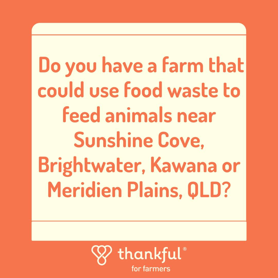 Thankful4Farmers have partnered with stores on the Sunshine Coast from a leading supermarket chain to pilot a circular economy program to divert food not fit for human consumption from landfill back to farm for animal food.
Find out more and register here: https://bit.ly/3P0h5bA
#thankful4farmers #qldfarmers #thankful4farmers #thankful #Farmers #Australianfarmers #Farming #Organic #Farm #Farmtoplate #australia #foodsecurity #product #quality #community #sustainableagriculture #ausfreshproduce #fresh #produce
@chefmattmoran
@charliearnott1
@deliciousaus
@chief.nutrition
@phoebe_norman
@redtractorfoods
@newgapyear
@stephtrethewey
@catherinevelisha
@lachyfeggans