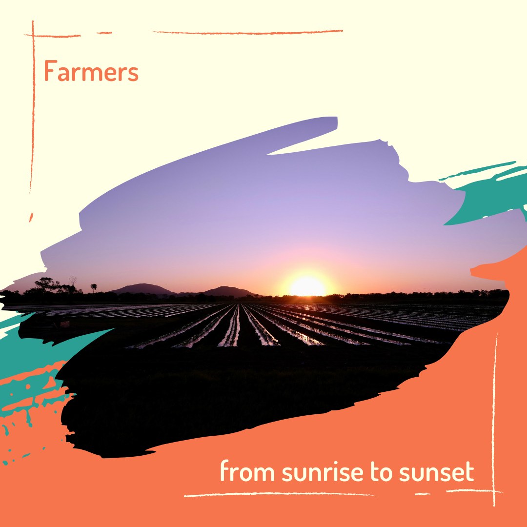 From sunrise to sunset, farmers work hard, nurturing crops or caring for livestock to bring us the food we love. Their unwavering passion is inspiring. Do you know who grows your food? 🌽🍅🍞
#FoodOnTheTable #FarmToFork #ThankfulForFarmers
#thankful4farmers
@chefmattmoran
@charliearnott1
@deliciousaustralia
@chief.nutrition
@phoebe_norman
@redtractorfoods
@newgapyear
@stephtrethewey
@catherinevelisha
@lachyfeggans
@lucianomesiti