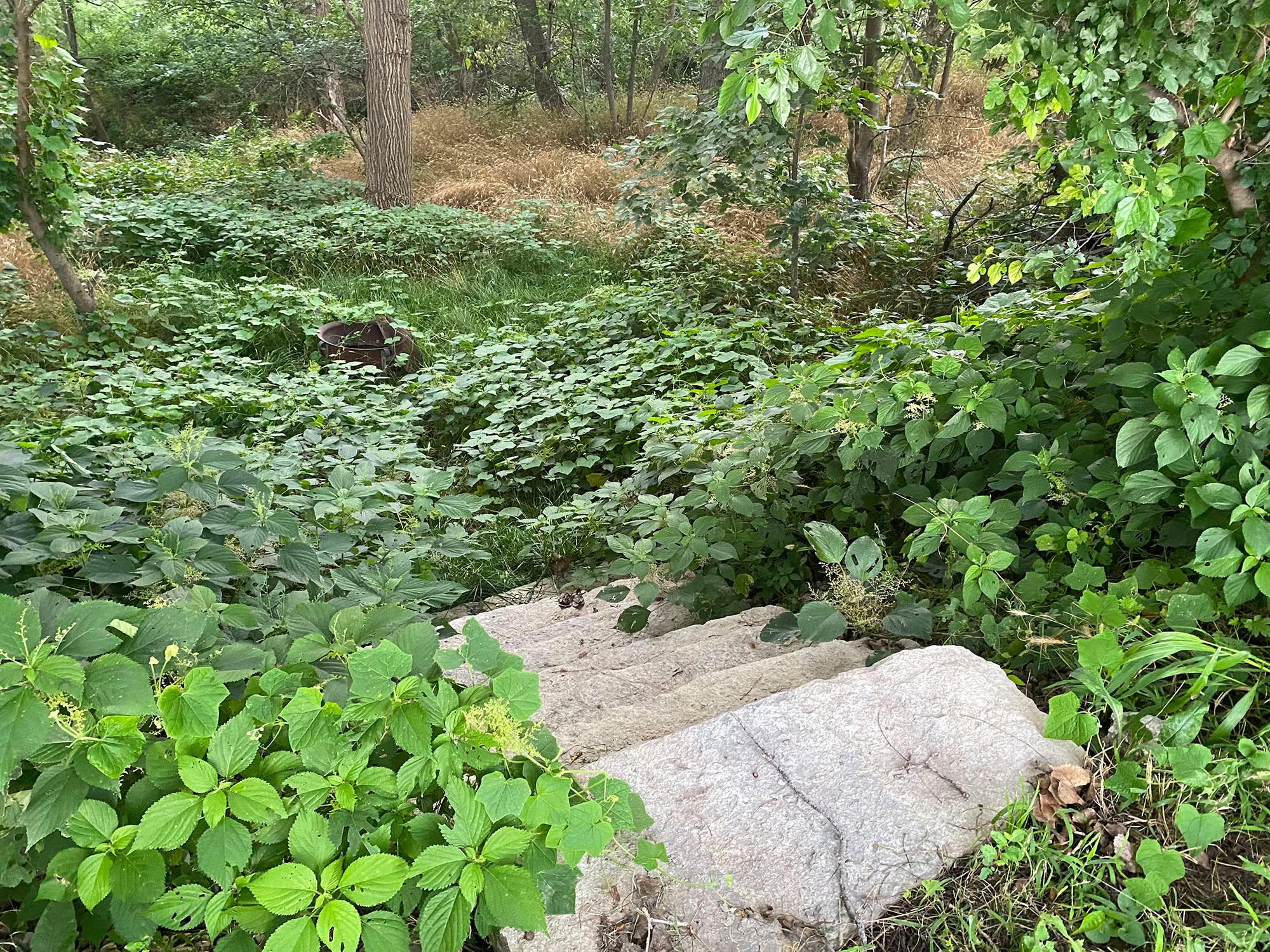 🌿 Discover the Magic of Transformation at Our RV Park! 🚐🌄
Greetings, dear friends! We're thrilled to unveil the captivating journey of Hidden Falls, a secluded haven nestled within our RV park. 🍃🏞️
Picture a place concealed by untamed weeds and enveloped by the embrace of towering trees and a gentle creek – this defined the essence of Hidden Falls in the past. Through relentless determination and unwavering dedication, we've been able to transform this space into a haven that's now ready to be explored.
The "before" photos tell the tale of wild greenery and hidden potential. 🌱🌳 And now, the "after" photos showcase the incredible makeover . ✨📸
#nebraskacamping #primitivecamping #lilriversedge #rvpark #camping #littleriversedge #nebraskaoutdoors #campinglife