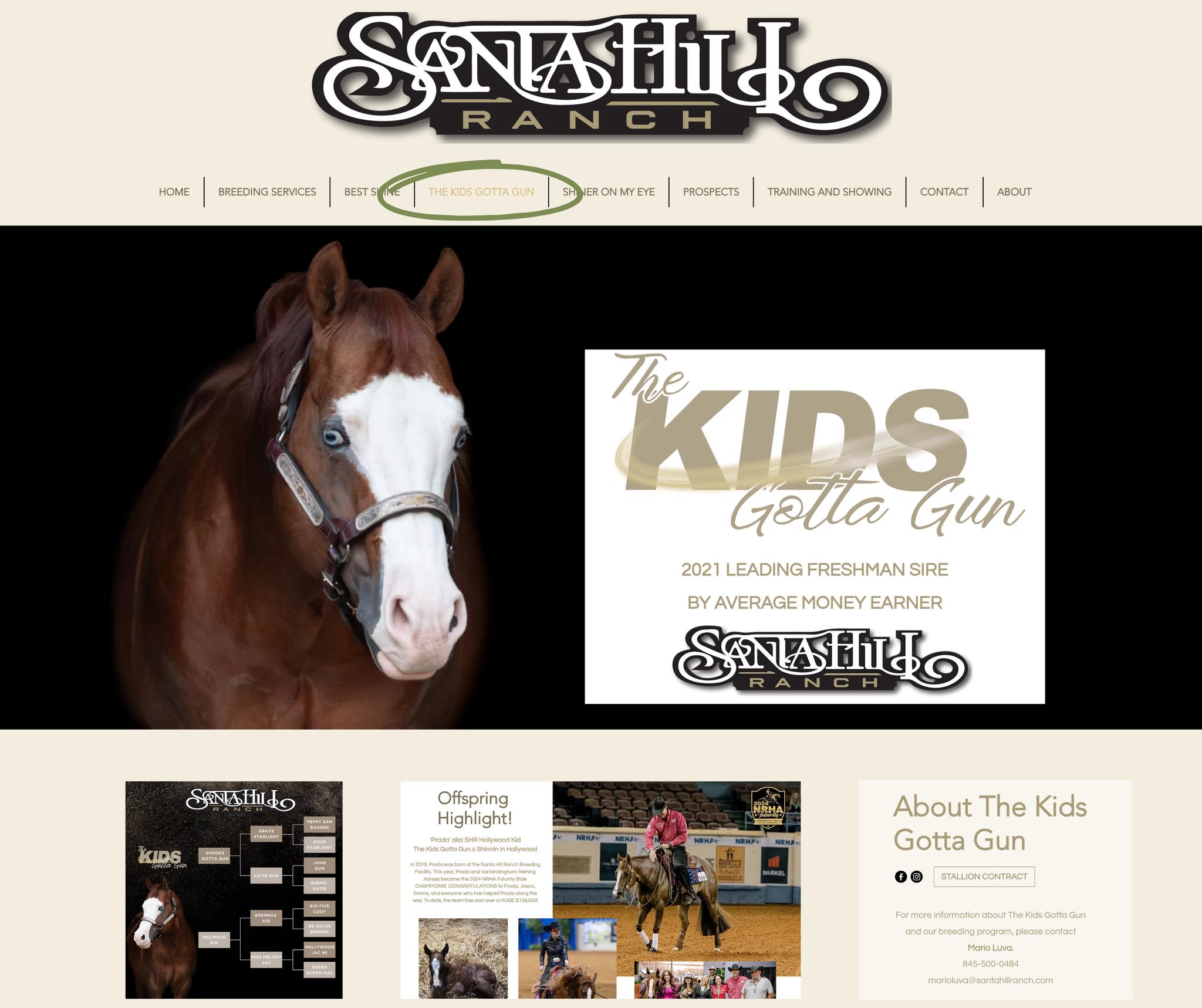 Make sure you check out our newly updated website! You can find Kid's Contract, Offspring Highlights, and more!
Santa Hill Ranch - Breeding Facility
https://www.santahillranch.com/the-kids-gotta-gun