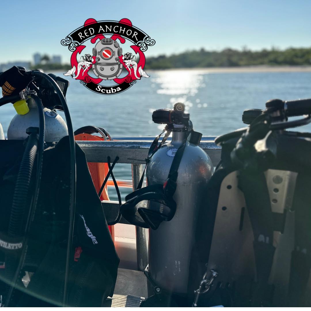 Been a great couple of days diving in Palm Beach with the Kent Island Scuba team! Water’s been beautiful and training dives have been amazing! If you’ve been wanting to get certified, stop putting it off! Give us a call and start diving!!
#DiveNAUI #NAUIWorldwid #diveboat #RedAnchorScuba #PalmBeach #scuba #scubadive #scubadiving #diving #scubaspecialty #adventure #experience #florida #stuartfl #Jupiter #travel #Dive