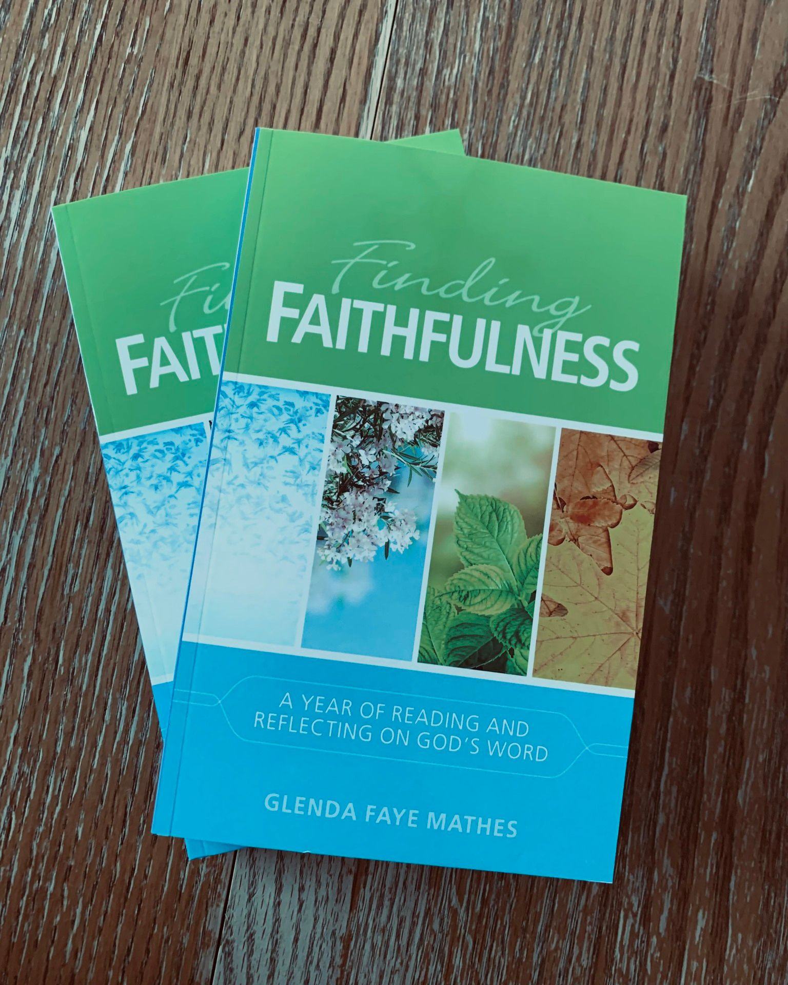 Looking for a devotional for this year? Take a look at this new devotional from Glenda Mathes and Reformed Fellowship. Follow along every day for a year with Glenda and foster a devotional rhythm.
#devotional
#glendamathes
#faithfulness
#reformed