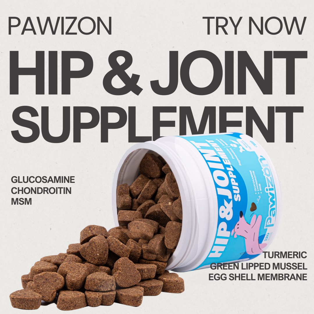 🐾✨ Support your dog’s adventures with Pawizon.
Get 40% off now with code “405R2LFG” at Amazon checkout!🩵
#HealthyPaws #healthypaws #healthydogs #healthydogtreats #healthydog #healthydoglife #healthydogfood #healthydogtreat #healthydogsnacks #healthydogfoodfacts #pethealthtips #pethealthclub #pethealthcare #pethealthadvice #PetHealthMatters #dogjoint #dogjoints #dogjointcare #dogjointpain #dogjointhealth