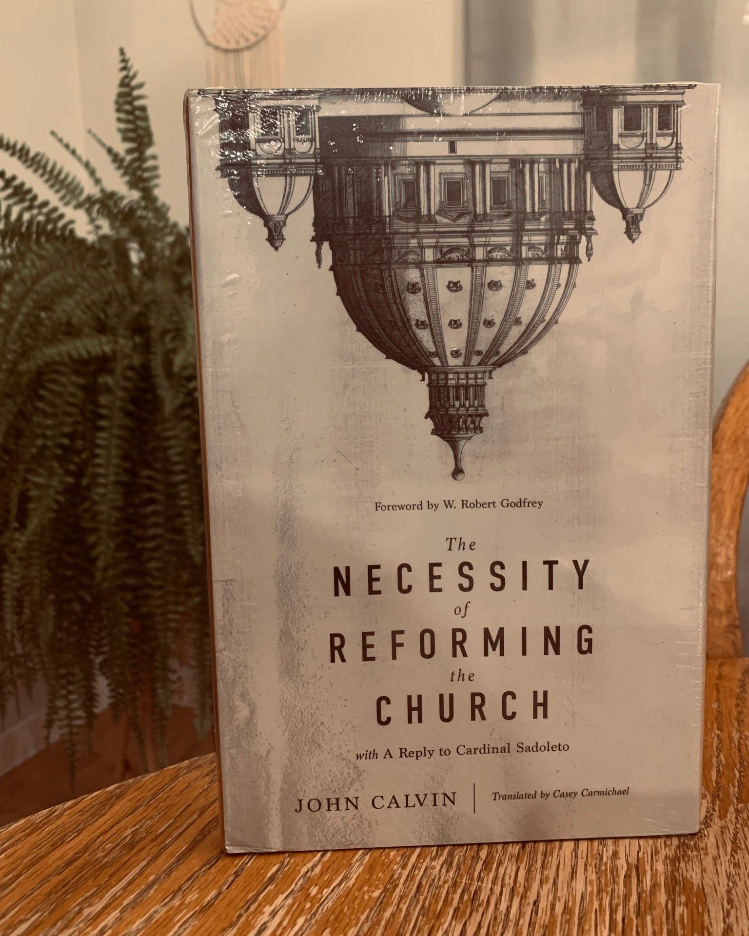 "The church reached a turning point in the sixteenth century. Worship had become a spectacle, the gospel was distorted, the sacraments were replaced by superstition, and ministers lived in immorality. To restore the church to the teachings of Christ, the Reformers cried out for a return to God’s authoritative Word. In this classic treatise, John Calvin presents four areas of the church’s life and doctrine that must be carefully guarded and guided by Scripture. This timeless call for biblical faithfulness beckons us today. How will we respond?
This new translation by Dr. Casey Carmichael, with a foreword from Dr. W. Robert Godfrey, also includes A Reply to Cardinal Sadoleto, Calvin’s letter defending the work of reformation as it was applied in the city of Geneva."
#johncalvin
#reformation
#ligonier
#geneva