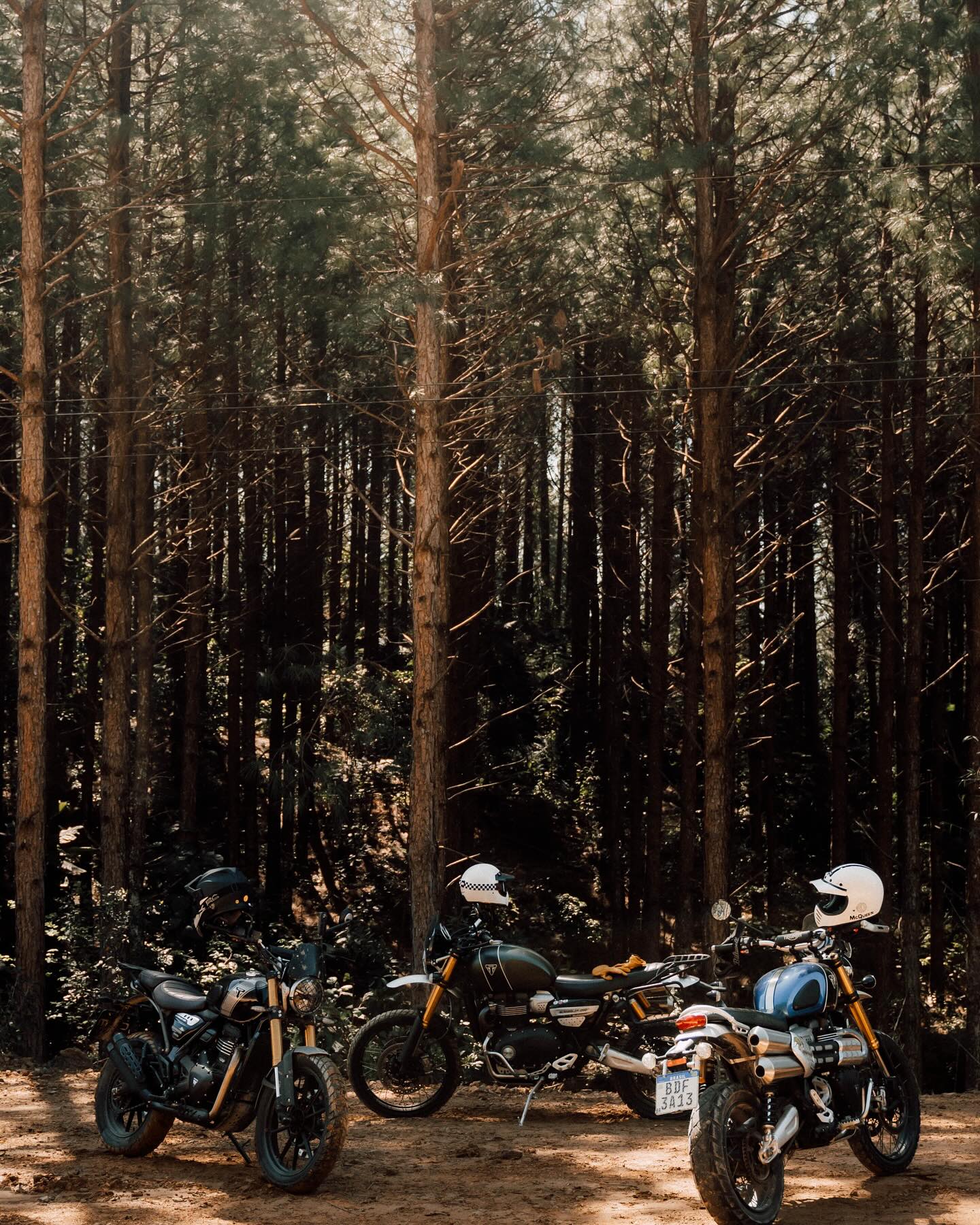 Viu como ficaram as fotos desse trip?! 📸 @allan_oliveira #fiftyriders #motocicleta #scrambler1200 #serradocorvobranco #camisetamasculina