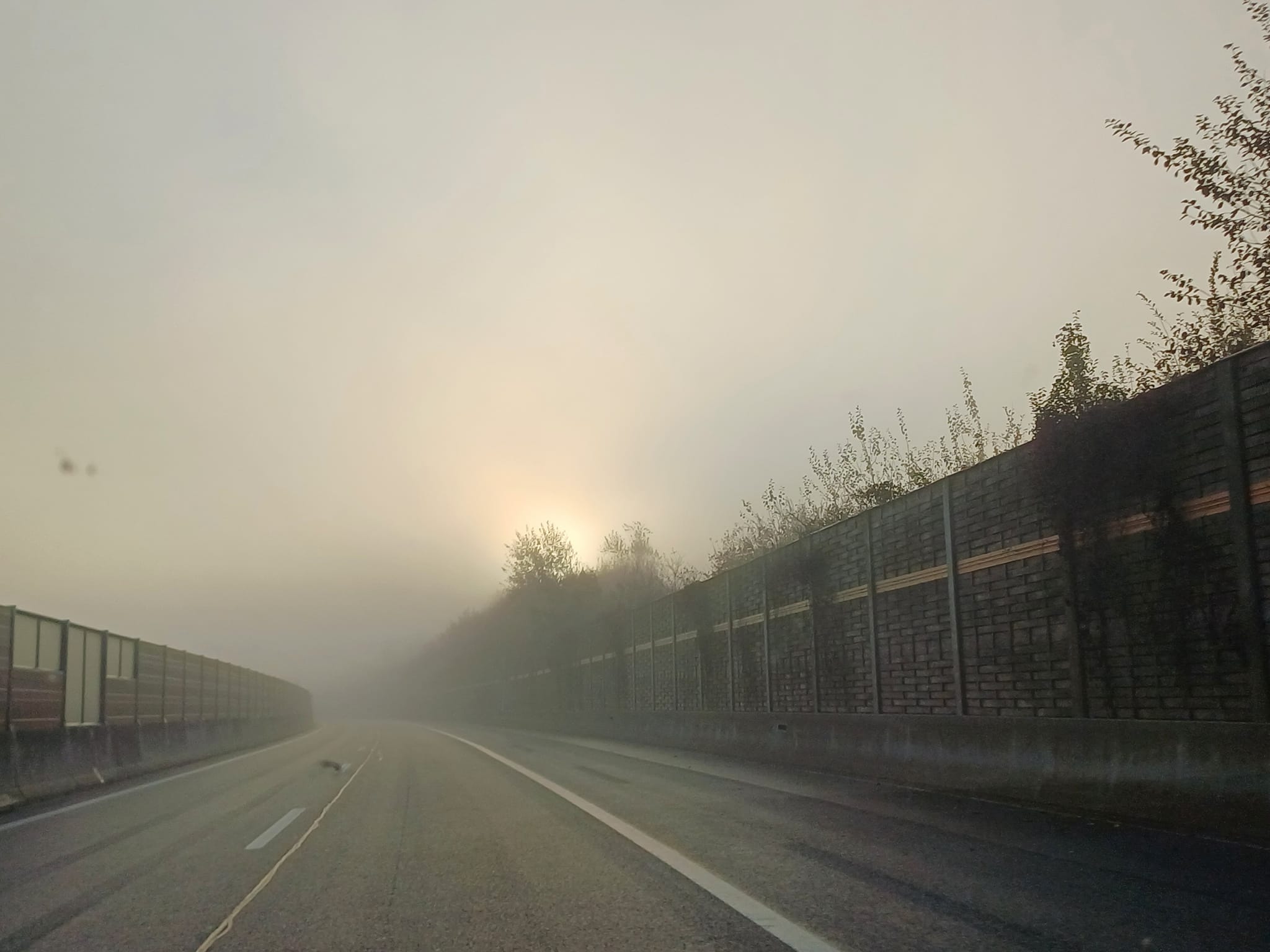 Wie jetzt.?
.
"Sei du selbst" - heißts dort und da, doch wie das geht ist nicht so klar.
"Sei mal anders" - schreiben sie auf Blätter, doch das macht zum Außenseiter.
"Mach dein Ding!" - ein guter Rat, doch mit Familie eher hart.
"Steh deinen Mann" - Wie soll das gehn, wenn man sich nach 'frausein' sehn?
"Komm, sei stark" - ein Ungeselle, denn das macht Schwachsein zur Negativ-Schwelle!
"Sei brav und lieb und auch noch artig" - das macht mich so richtig grantig!
"Gib dich her für deine Kinder" - ein Satz mit erhobnem Zeigefinger!
"Sei doch sexy, mach ihm Lust" - ein gefährlich Satz, fördert se*uellen Frust.
"Sei bloß schlank, hab keine Delle" - Realität für viele, gleicht oft der Hölle.
"Sei bloß ruhig, halt dich raus!" - so schaut Zuvilcourage nicht aus!
"Sei ein Mädchen und Prinzessin" - in Wahrheit auch kein Lebenssinn.
.
Wer bist du nun, in dem Gewirre?
Traust du dich drüber über dieses Irre?
Bist du mutig? Hast aufgehört zu vergleichen? Wenn so schnell die Tage verstreichen?
.
By zauberband.