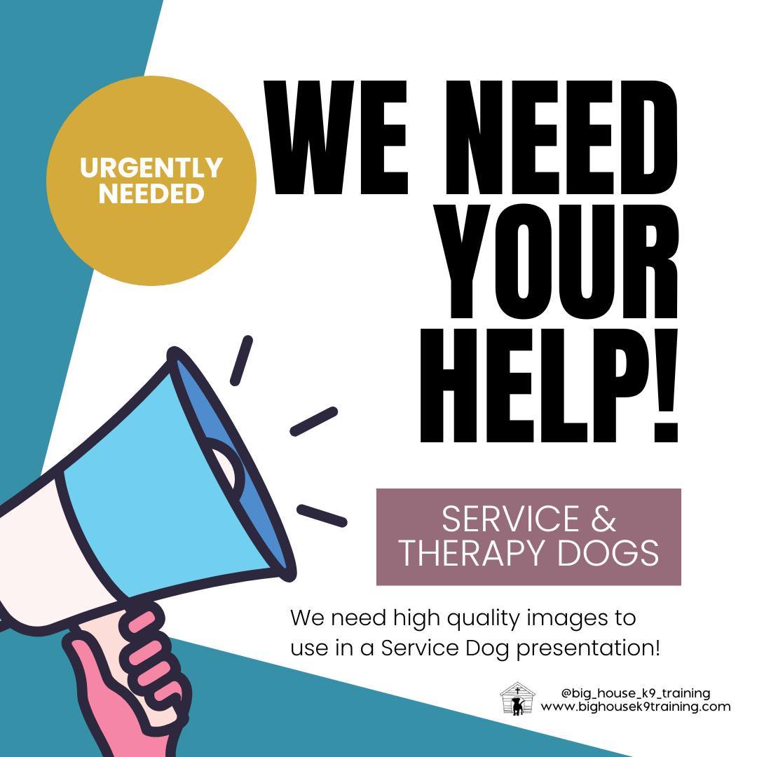 š¾ We Need Your Help š¾
We're on a mission to showcase the incredible work of service and therapy dogs in an upcoming presentation, and we want to feature YOUR amazing pups!
If you have high-quality photos of your service dog (vest on, please!) or therapy dog, we'd love to see them! We're looking for clear shots of the dogs both solo and with their handlers.
By sharing your photos, you agree to allow us to use them in our service and therapy dog materials. We truly believe in showcasing real dogs and their heartfelt work instead of stock images!
Please drop your photos in the comments below! Let's celebrate these wonderful companions together! ⤠š
#CasaGrandeDogs #WellBehavedDog #TrainForLife #PositiveReinforcement #CoolidgeDogs #servicedog #servicedogintraining #servicedogsofinstagram #servicedogs #helpusout #therapydog #therapydogs