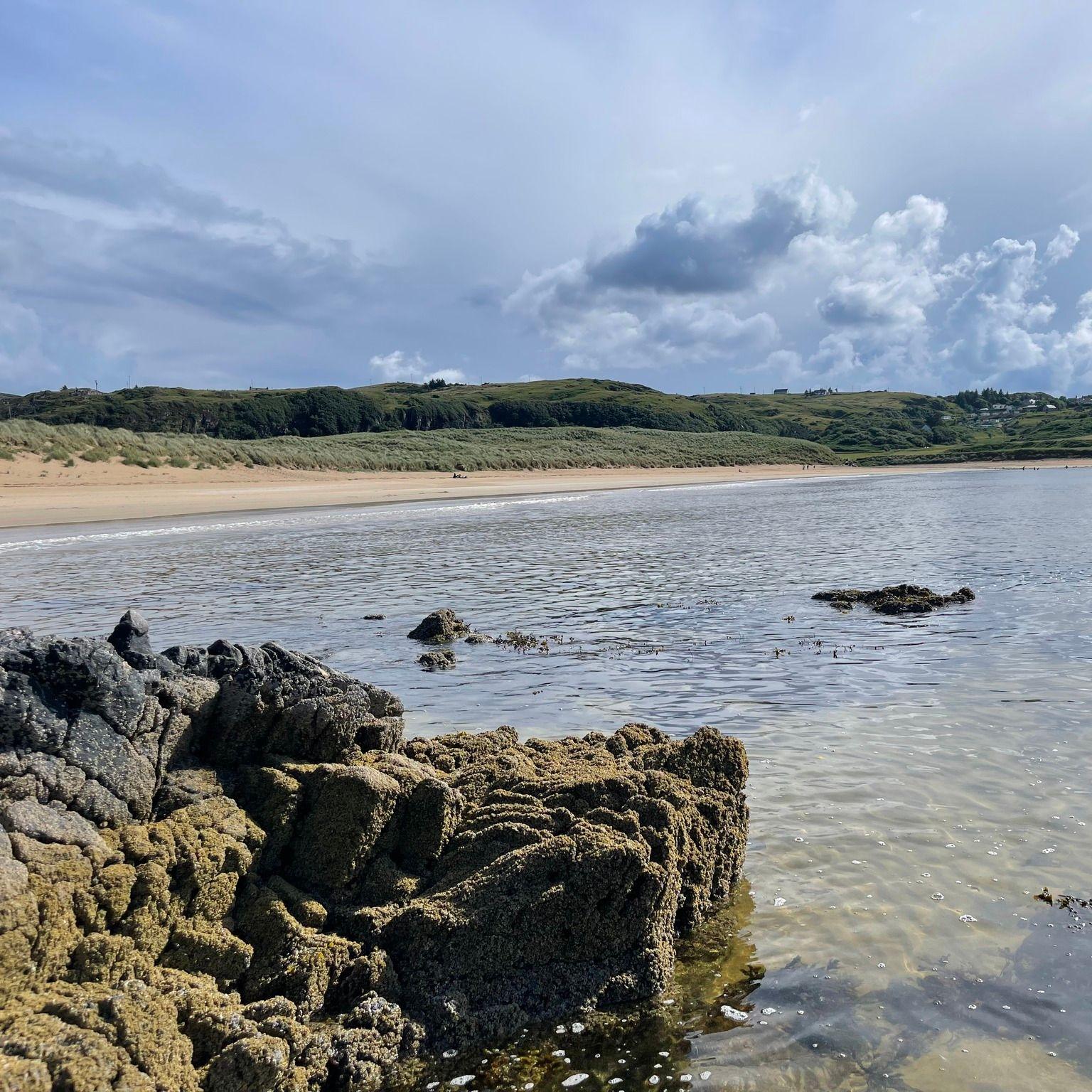No waves at Farr Bay today, perfect for a swim or paddle boarding. I decided to watch the jelly fish, flounders, sea anemones, snails and sand eels.
All this is just a short walk from the campsite.
#nc500 #bettyhill #SUTHERLAND #scottishhighlands #naturelover