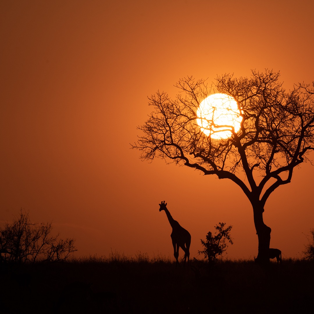 Happy Human Rights Day from the CND Travel team! 🌍✨ Celebrate equality and freedom by exploring your own backyard, whether it's for work or leisure. Book a local trip today and make unforgettable memories! #HumanRightsDay #LocalTravel