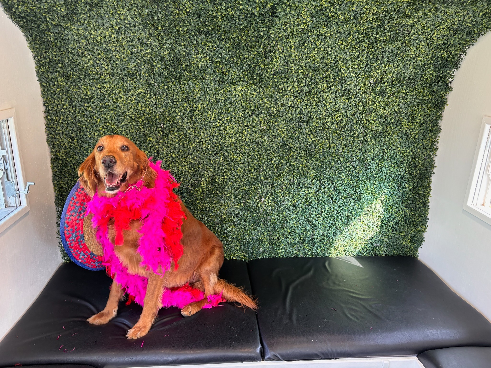 Got those Wednesday vibes going!
#photobooth #dfwweddings #photoboothtrailer