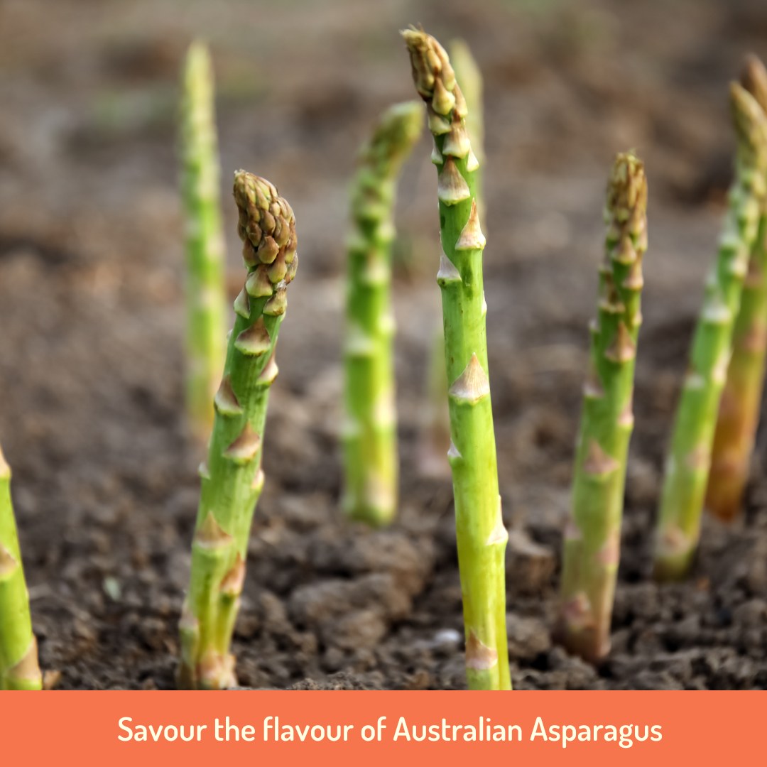 It's Asparagus Season!
For some, asparagus is a love-it-or-leave-it veggie, but for us enthusiasts, Spring is like a green dream come true! Fresh asparagus is back on the shelves, and we couldn't be happier!
Did you know that over 95% of Australian asparagus is grown in Victoria with Koo Wee Rup taking the crown as the primary growing area. The spears sprout from crowns nestled in sandy soils, and under perfect conditions, they can shoot up an amazing 25cm in just 24 hours!
While green asparagus is the most common, keep an eye out for two other varieties in supermarkets and restaurants: the delicate white asparagus, harvested before they break through the soil, and the smaller, sweeter purple asparagus.
How will you enjoy this seasonal delight? Perhaps lightly steamed with a touch of butter and sea salt, baked in a hot smoked salmon tart, or served with a soft-boiled egg and some hollandaise? Get creative and add this delicious veggie to your menu over the coming months!
#thankful4farmers #thankful #Farmers #Australianfarmers #Farming #Organic #Farm #Farmtoplate #australia #foodsecurity #product #quality #community #sustainableagriculture #picker #labourshortage #ausfreshproduce #fresh #produce #goandpick #newgapyear #goandpour
@chefmattmoran
@charliearnott1
@deliciousaus
@chief.nutrition
@phoebe_norman
@redtractorfoods
@newgapyear
@stephtrethewey
@catherinevelisha
@lachyfeggans
@lucianomesiti