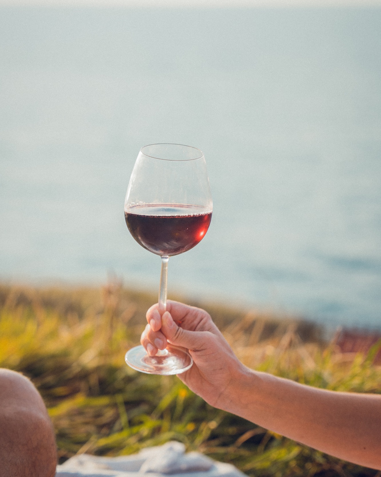 Levons notre verre de sangria rouge Loreak ! ✨🍷
Une sangria légèrement pétillante confectionnée artisanalement au Pays Basque, un subtil mélange de vin rouge sélectionné, d’agrumes et d’épices.🍊
L'abus d’alcool est dangereux pour la santé. A consommer avec modération.