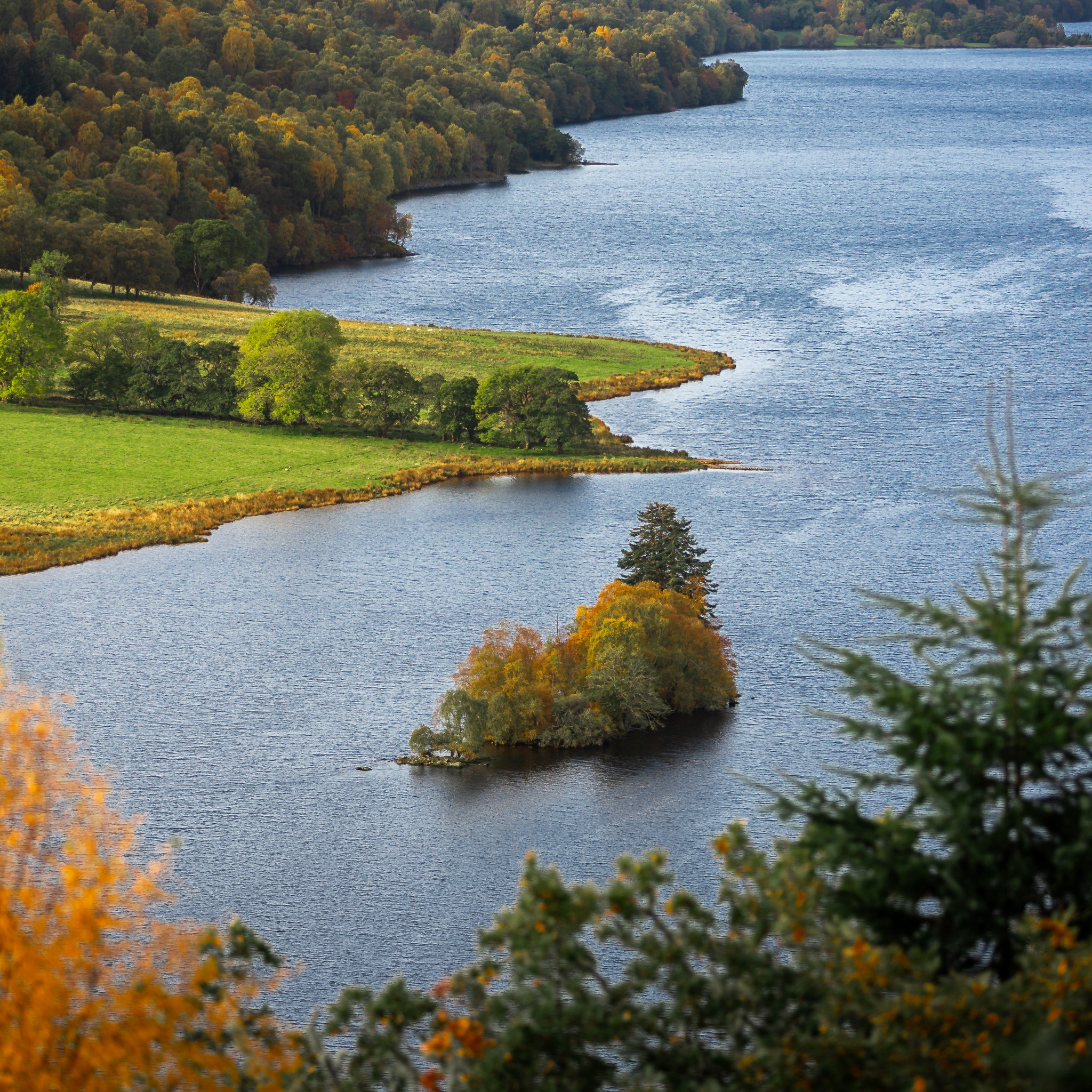 An island on the loch. A loch that's as deep as 44 metres in parts!
#QueensView #LochTummel #ScotlandViews #ScotlandNature #VisitScotland #ExploreScotland #HiddenScotland #ScottishHighlands #NatureLover #ScenicScotland #ScottishLandscapes #ThisIsScotland #ScotlandTravel #UKScenery #WildScotland #HighlandBeauty #NaturePhotography #IslandEscape #ScotlandLover #RemotePlaces #ScotlandGreatShots #OutdoorsScotland #ScotlandScenery #MistyScotland #ScottishWilderness #TravelScotland #ScottishNature #ScenicViews #LandOfMountainsAndWater #ScotlandExplorer