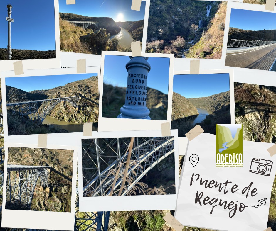 👉 El Puente de Requejo, también conocido como Puente de Pino, fue inaugurado en el año 1914.
🌉 Esta obra de ingeniería supuso la apertura a la comunicación entre las comarcas de Aliste y Sayago, que hasta ese momento se venía haciendo a través de una pequeña barca de poleas.
📏 Se trata de una obra de un único arco de 120m. de luz y 90m. de altura, situada entre las localidades de Villadepera y Pino del Oro.
📍 Recientemente el puente se ha sometido a trabajos de mantenimiento y conservación.
Coordenadas: Latitud: 41.560723 | Longitud: -6.12959
#aderisa #Sayago #puentederequejo #planesparaelfinde
