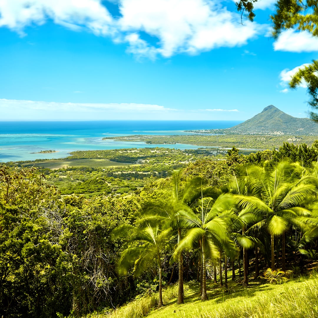 Ready for your next adventure? Let CND Travel take you there! Book now at www.cndtravel.co.za. #CNDTravel