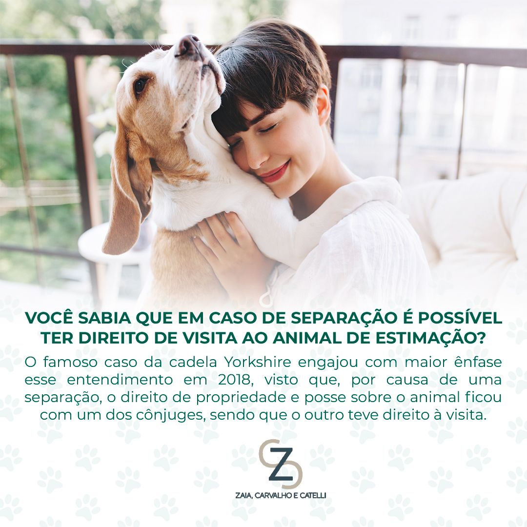 O direito à visita ao animal de estimação é um novo entendimento no ramo jurídico. Segundo o que proferiu a decisão da quarta turma do Superior Tribunal de Justiça (STJ), o relator, ministro Luis Felipe Salomão, denota a necessidade de analisar a situação concreta buscando sempre a proteção do ser humano e de seu vínculo afetivo com o animal. Em razão disso, em virtude de uma separação judicial de um casal, um dos cônjuges teve o direito de visitar o animal de estimação.
Base legal: REsp 1.713.167; stj.jus.br
