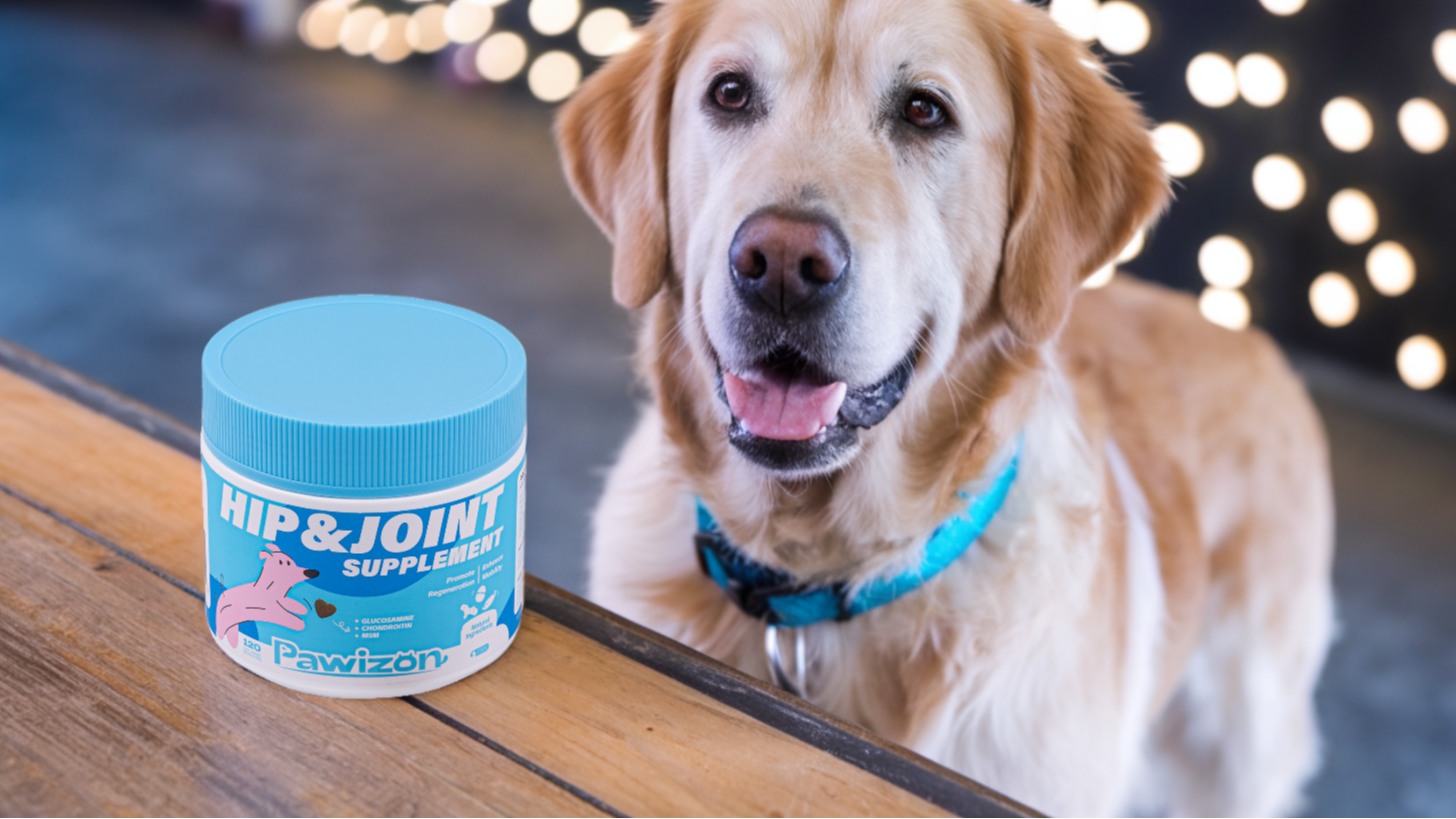 When your dog’s joints are feeling good, every moment is a happy one. 🐶🌟 Keep your pup moving with our trusted joint health supplement.
#dogsupplies #dogsupply #DogSupplements #dogsupport #dogsupplements #dogsupplement #dogjoint #dogjoints #dogjointpain #dogjointhealth #dogjointsupplement #dogjointcare #doglife #doglover #doglove