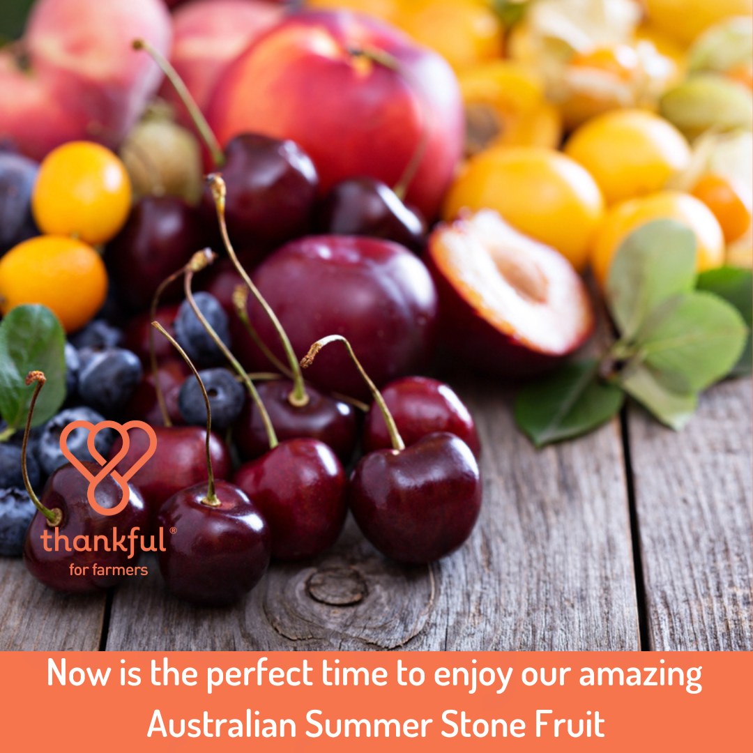 Dive into the Sweetness of Aussie Summer Stone Fruits! 🍑
☀️ Australia’s warm climate and hot, dry summers promote sweeter, juicier summer stone fruit and now is the perfect time to indulge! 😋
From succulent peaches to nectarines, plums, cherries, and apricots, our sun-kissed orchards produce around 140,000 tonnes annually, valued at a around $580 million! 🍒
Rich in vitamins A, C and E and a great source of dietary fibre and potassium, Australian stone fruits are some of the world’s best eating fruit thanks to Australia’s leading horticultural practices and our wonderful farmers! 👨🌾
#thankful4farmers #Thankful4Farmers #australianag #sustainableagriculture #australia #Farmers #Australianfarmers #thankful4farmers #aussiefarmers #Farmtoplate #SustainableAgriculture
@birdseye_au @chefmattmoran @charliearnott1 @deliciousaus @chief.nutrition @redtractorfoods @newgapyear @savefulorg