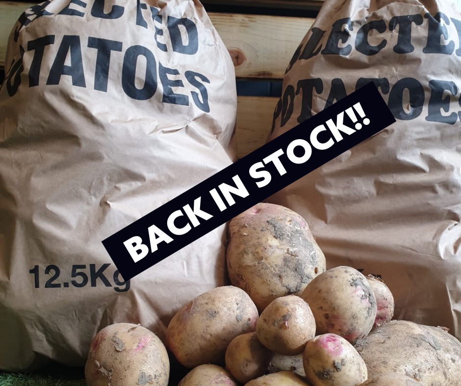BACK IN STOCK!
.
Our 12.5kg bags of Local Potatoes are back in stock.
.
Open 9am - 5pm Today
www.hennesseylifestyle.co.uk
.
#butcher #meat #food #bbq #beef #butchershop
#butchery #steak #butchersofinstagram #butcherlife
#meatlover #foodie #grill #pork #instafood #shoplocal
#meatlovers #dryaged #barbecue #chicken #chef
#foodstagram #suffolk #hennesseys
#icecream #gifts #gin #breakfast #hennessey #boerewors