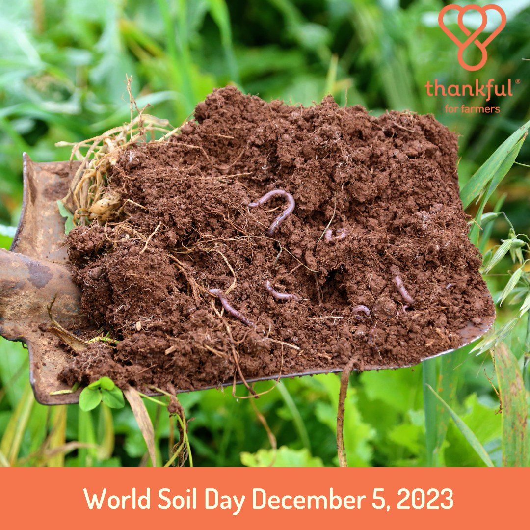 🌍✨ Join us today in celebrating World Soil Day 2023!
🌱💦 Soil and water are the unsung heroes, providing the foundation for food, ecosystems, and human well-being. Let's recognise their invaluable roles and take proactive measures to safeguard these resources for future generations.
🌱 Soil and water are the lifeline for plant growth, offering essential nutrients for our crops.
🌾 80% of croplands rely on rainfed agriculture, contributing to 60% of global food production. Effective soil moisture management is key for these systems.
💧 Irrigated agriculture systems withdraw 70% of the world's freshwater and account for 20 percent of croplands.
💚 The health of the soil and water is interconnected, with healthy soils playing a crucial role in regulating water retention and availability.
🌧️ Improved soil and water management enhance the land's resilience against extreme climate events like droughts, floods, and sand/dust storms.
🌿 Healthy soils act as carbon sinks, sequestering carbon and contributing to climate change adaptation and mitigation efforts.
Let's celebrate and commit to sustainable practices! 🌏🌱 #WorldSoilDay #SustainableLiving #ProtectOurPlanet 🌍✨
@fao
#thankful4farmers #thankful #Farmers #Australianfarmers #Farming #Organic #Farm #Farmtoplate #australia #foodsecurity #sustainableagriculture #ausfreshproduce #australianag #netzero #climatechange #aussiefarmers
@birdseye_au
@chefmattmoran
@charliearnott1
Deliciousaus
Chief Nutrition
@redtractorfoods
@newgapyear
@stephtrethewey
@catherinevelisha
@lachyfeggans
@lucianomesiti
@phoebe_norman