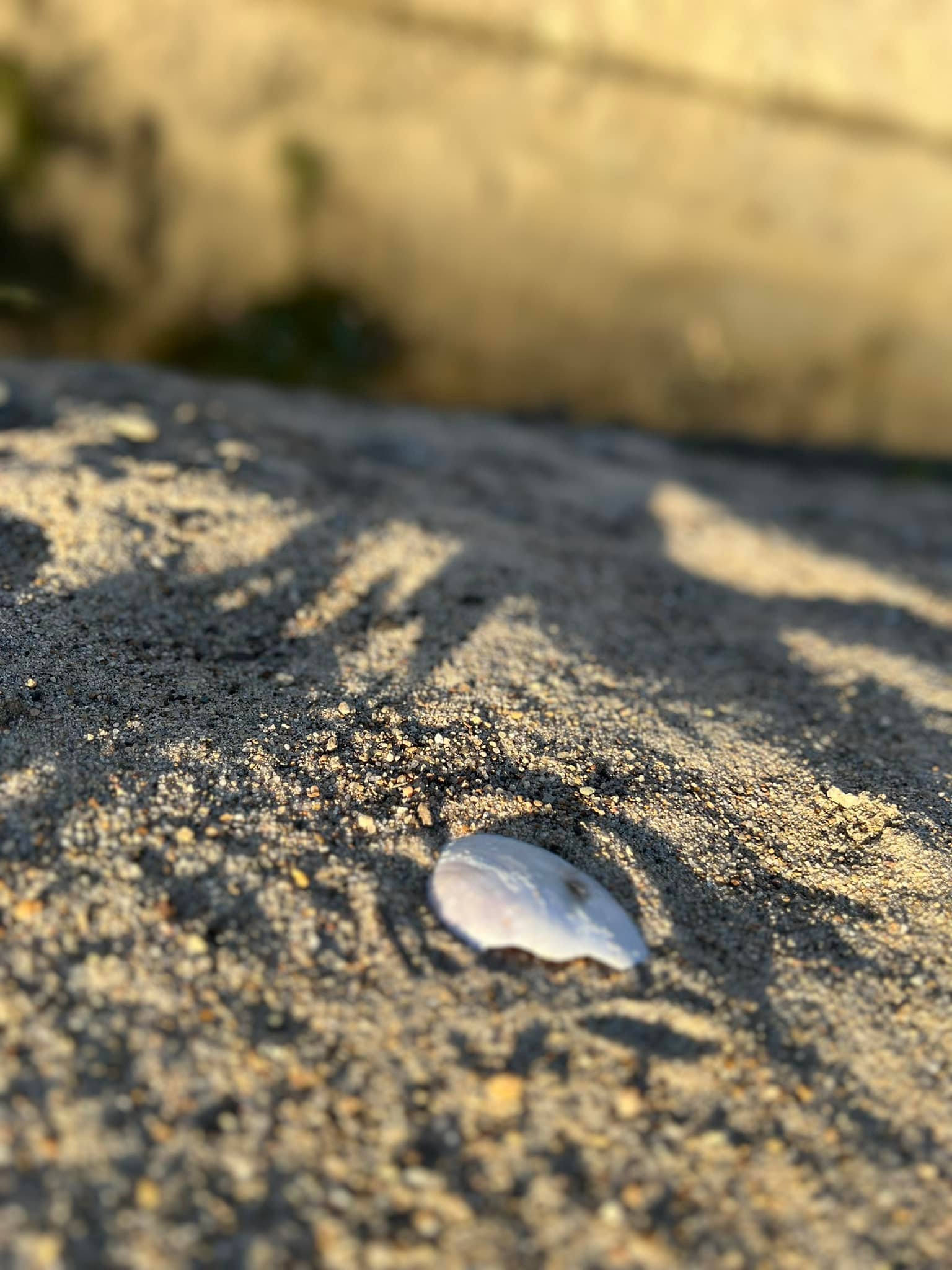 Beautiful day down by the beach.