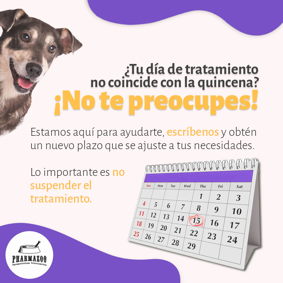 🗓️ Si tu día de tratamiento no coincide con la quincena, ¡no te preocupes! Estamos aquí para ayudarte a encontrar una solución y no suspender el Bienestar Peludito.
#CuidadoAnimal #BienestarPeludito #Pharmazoo #Mascotas