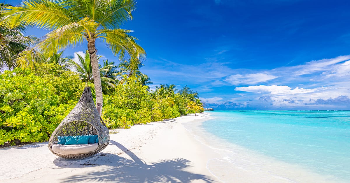 Paradise is calling! 🌴✨ Escape to crystal-clear waters, soft white sands, and serene moments in this tropical haven. Book your dream getaway with CND Travel today and let your adventure begin! 🏖️✈️
📞 Contact us today:
📱 +27 79 244 4432
📧 hello@cndtravel.co.za
🌐 www.cndtravel.co.za
#paradisefound #TravelWithCND #BeachVibes #ParadiseFound #CNDTravel #decemberholidays