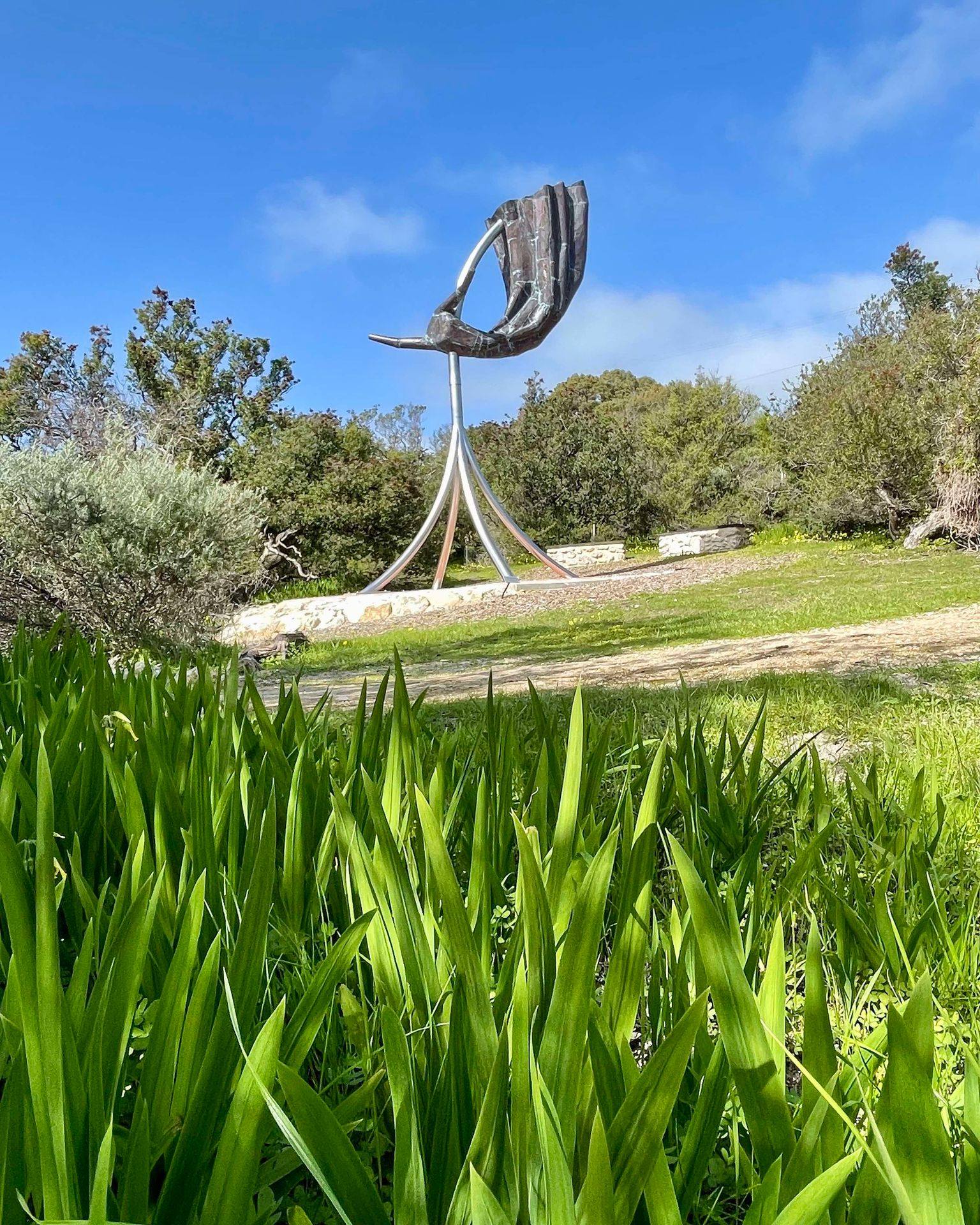 What a stunning time of year to experience how our trail's art intermingles so beautifully with nature.
Huge thanks to our volunteers who work so hard during winter to ensure our trail is always a beautiful place to visit.
Come for wander soon.
.
.
.
.
.
.
.
.
.
.
.
.
@authentickangarooisland #kangarooisland #kangarooislandunfiltered @sealinkki #sculpturegarden #sculpturetrail #sculpturebythesea #southaustralianart #publicart #communityart
