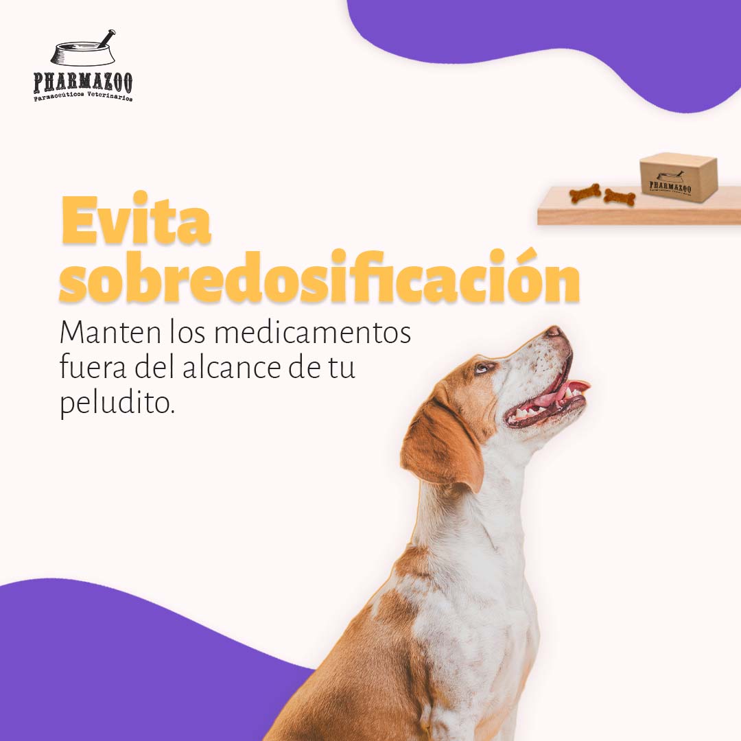 🐾✨ ¡En Pharmazoo nos preocupamos por el bienestar de tu peludo!
A pesar de que los huesitos son deliciosos, no se debe exceder la cantidad indicada por el Veterinario.
🐶❤️ #CuidadoCanino #Pharmazoo #PerrosFelices #AmorPerruno